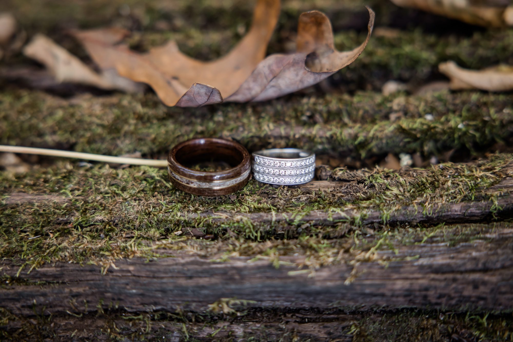 Wedding rings on Mossy log