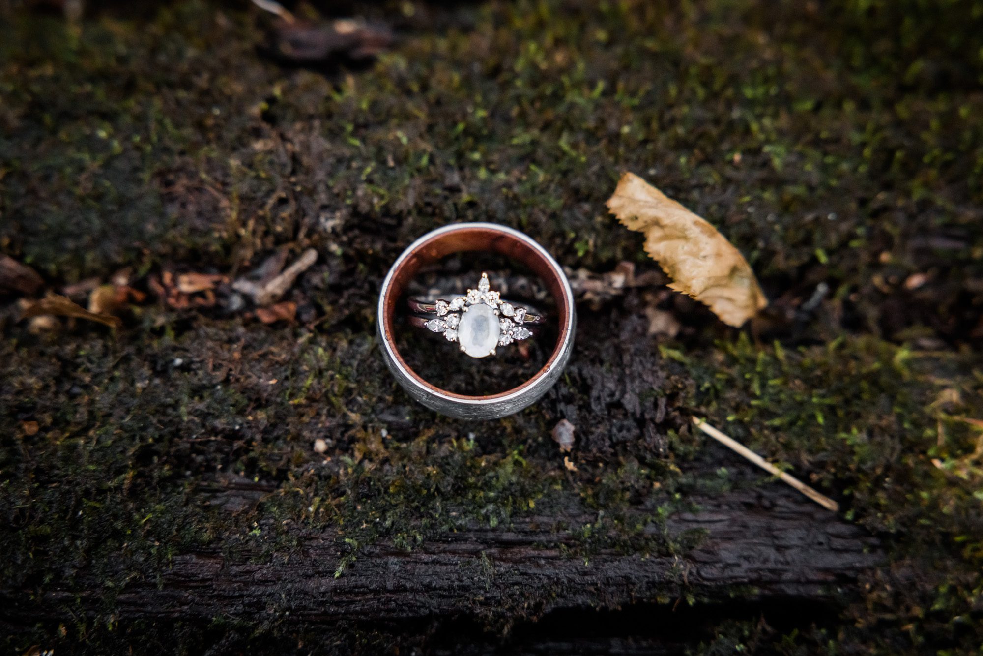 Wedding rings on mossy log