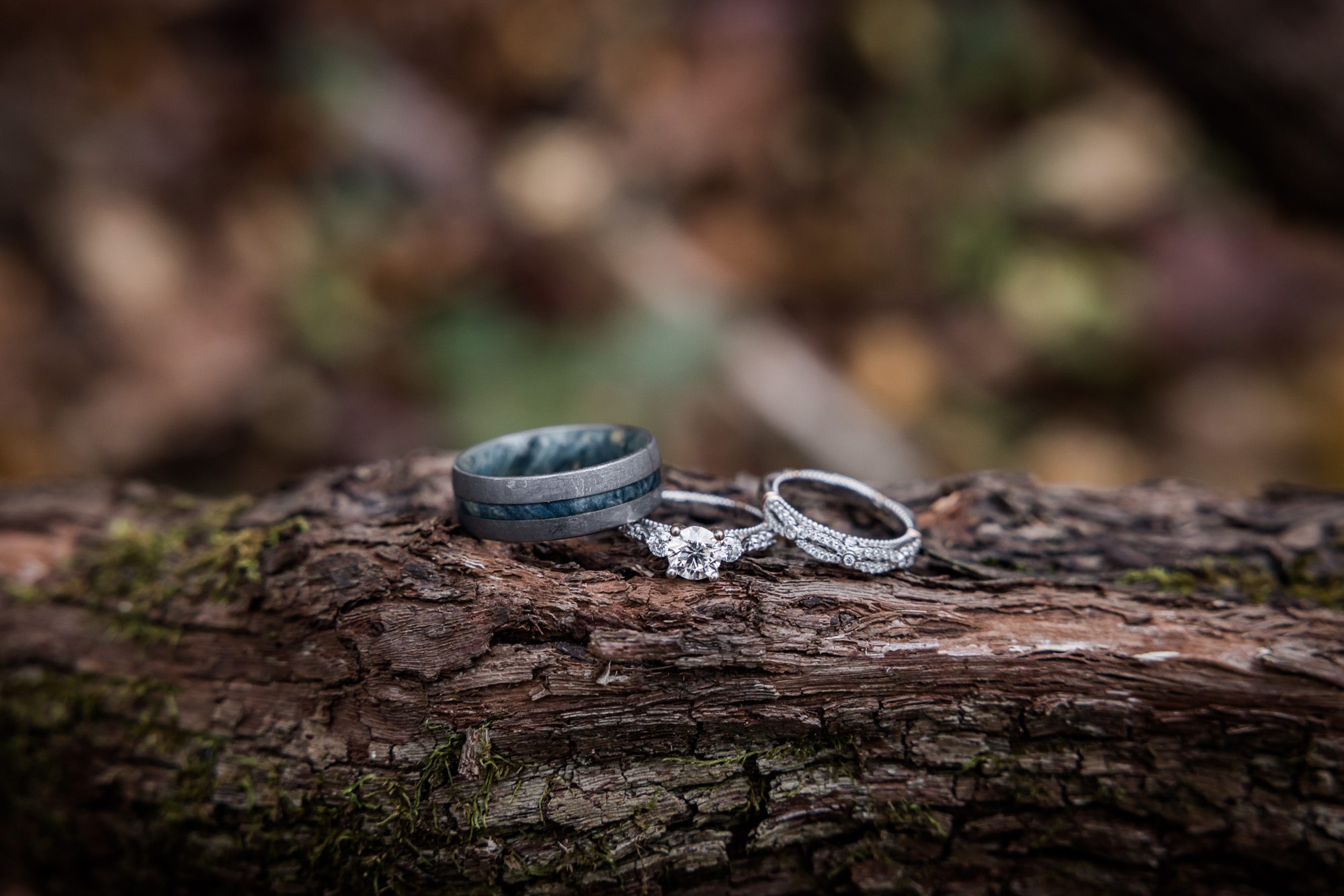 wedding Rings on log