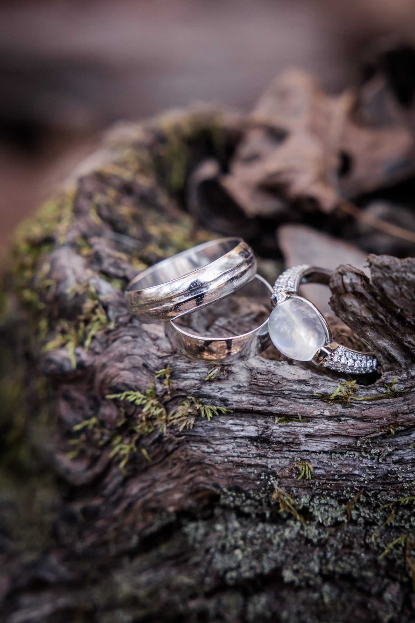 Wedding rings on mossy log