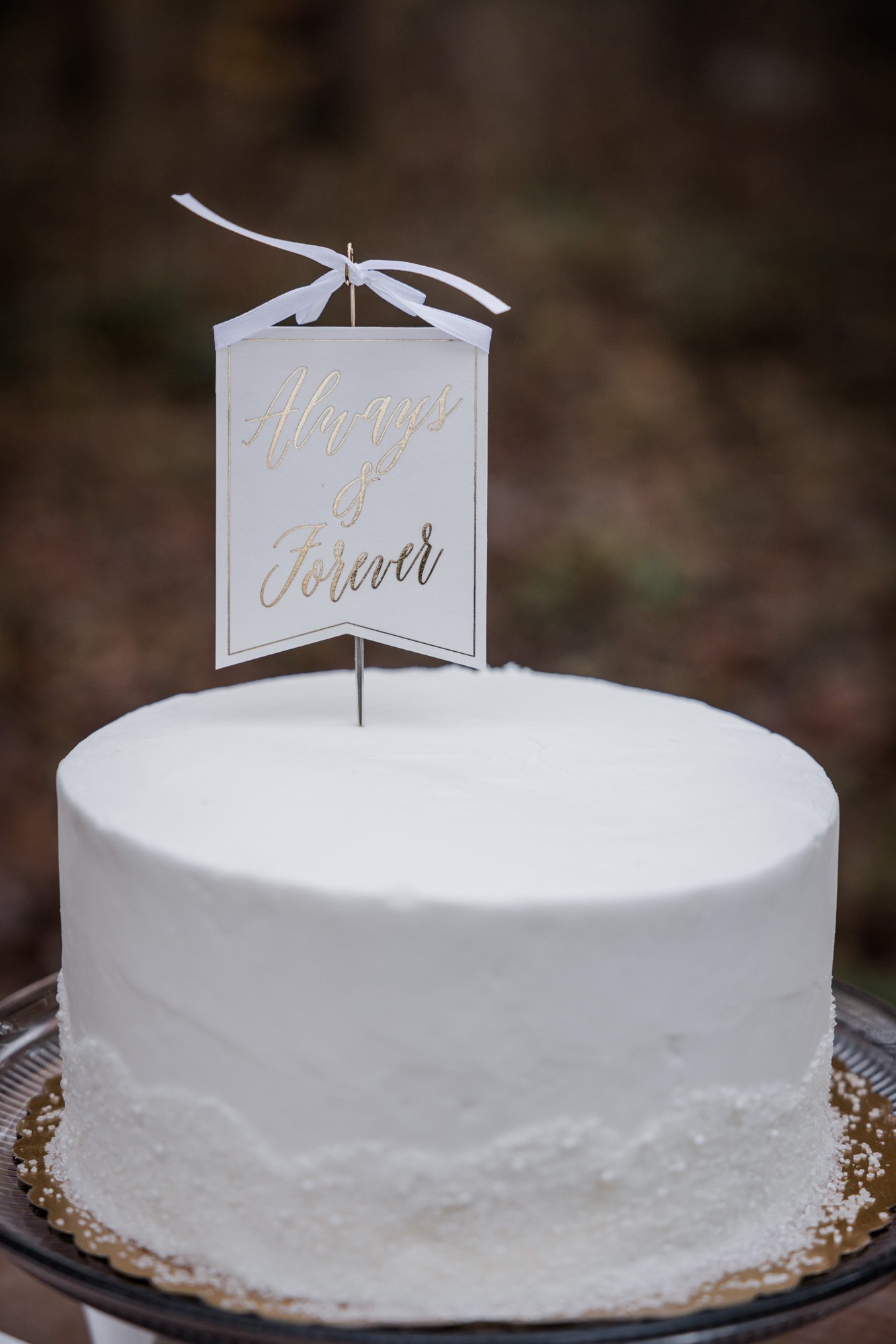Simple outdoor wedding cake