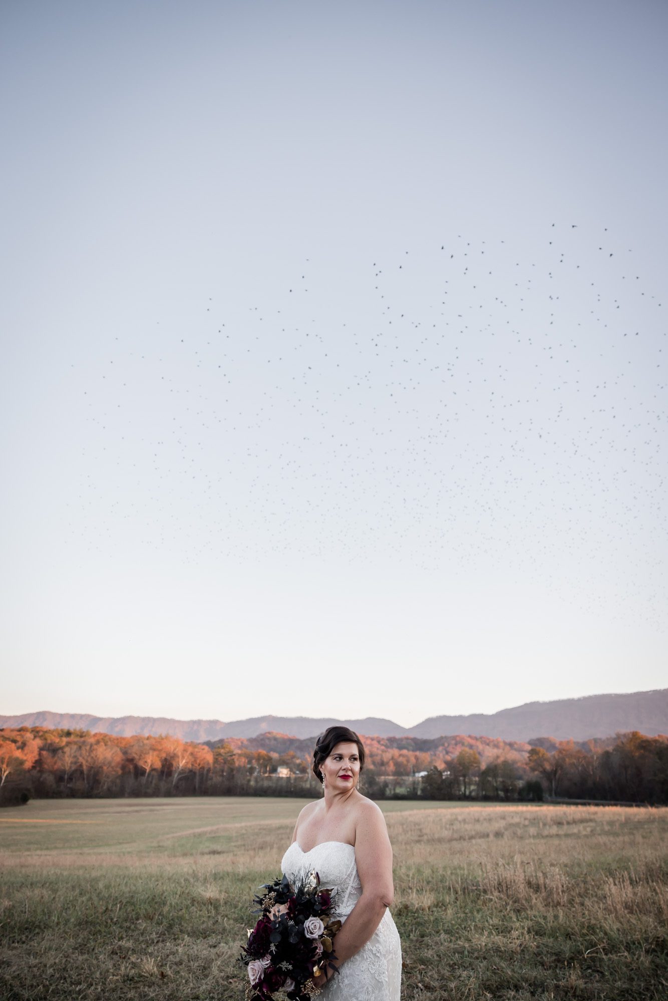 Smoky Mountain Bride portrait