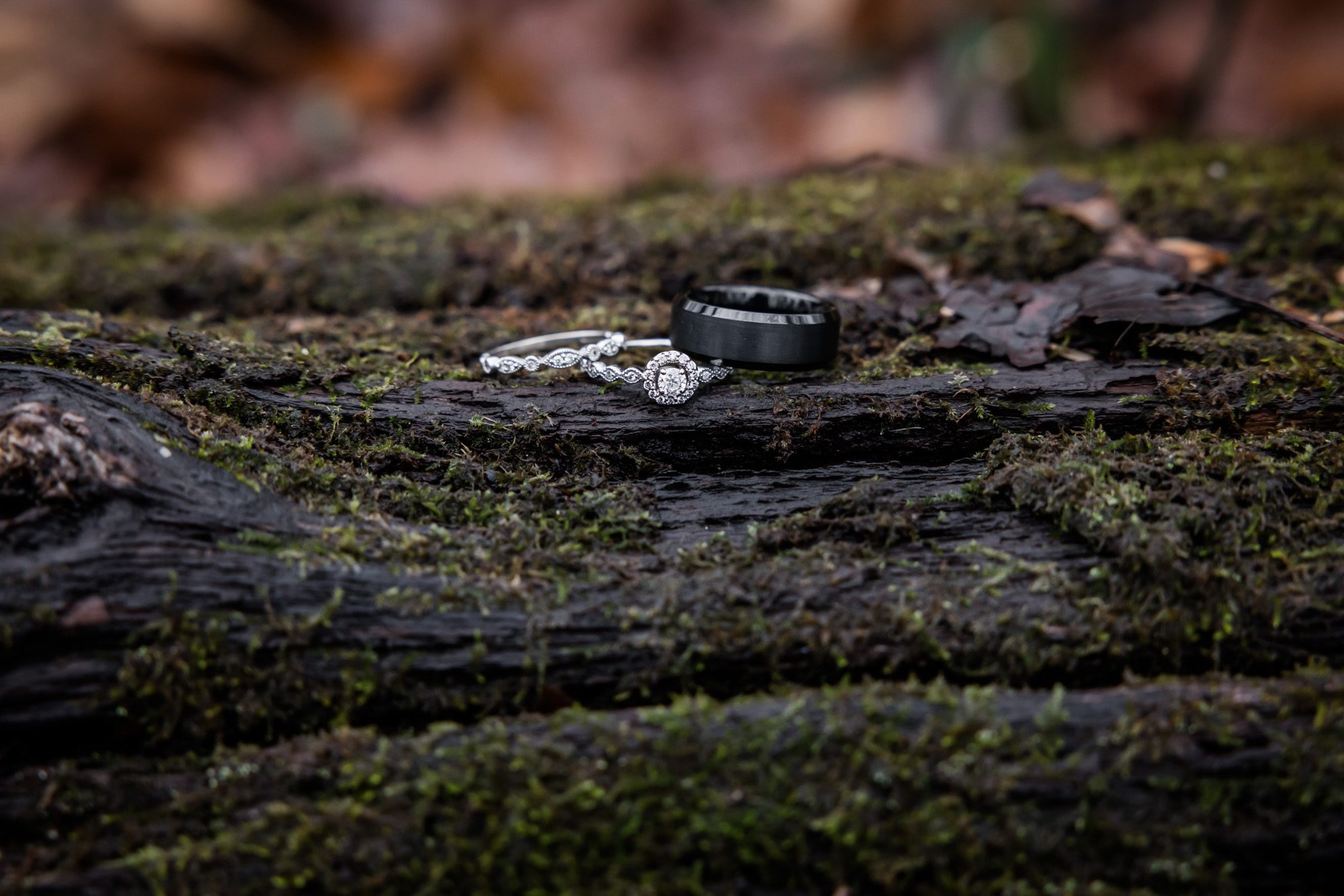 Wedding rings on log