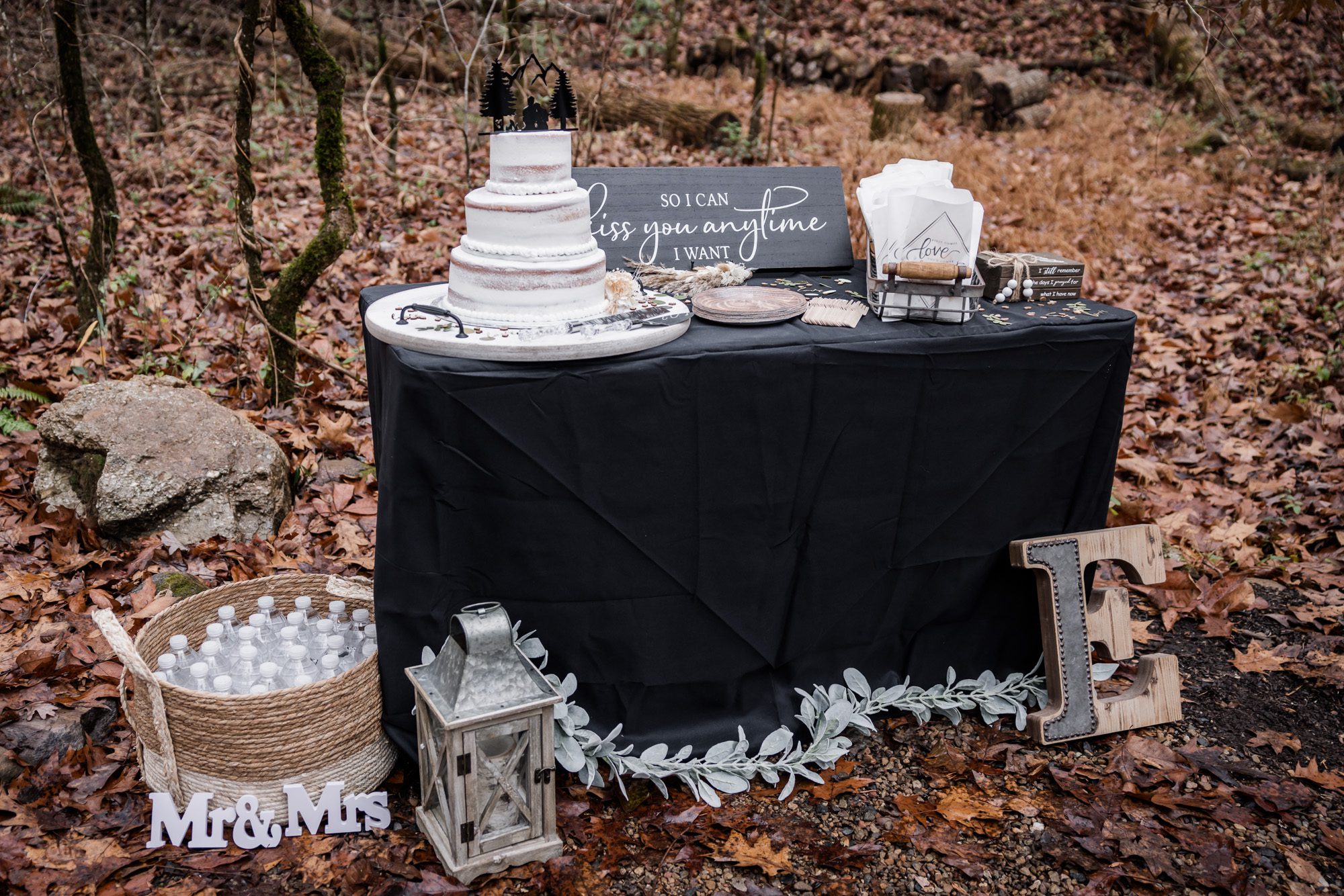 Outdoor cake and favor table