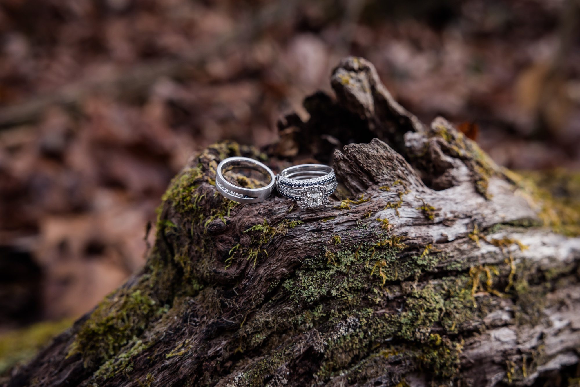 Wedding rings on a log