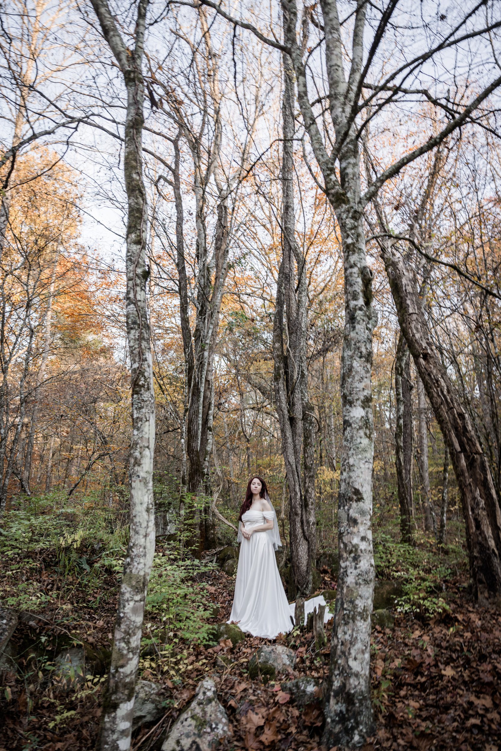 Smoky Mountain Bride 