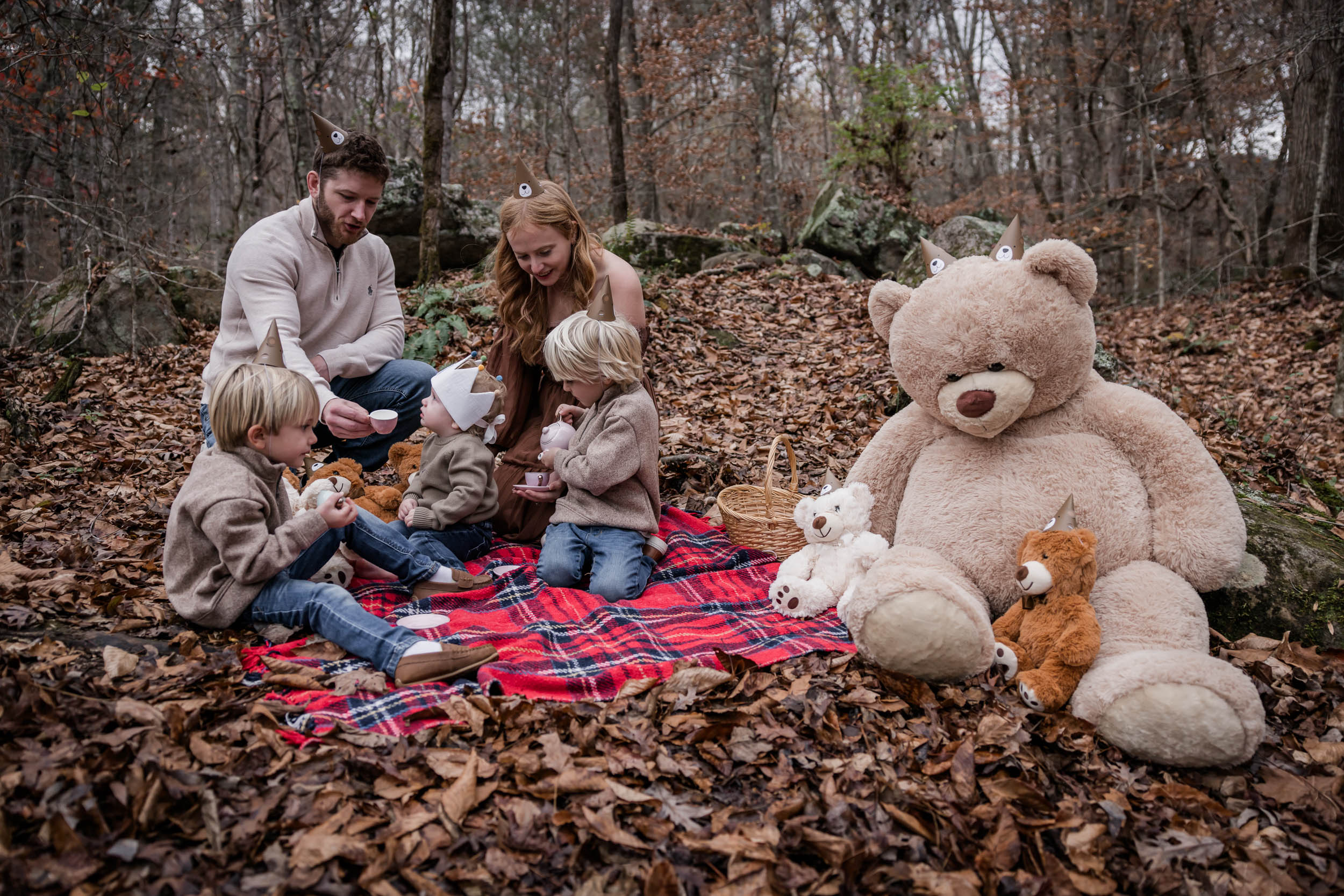 Teddy Bear Picnic 