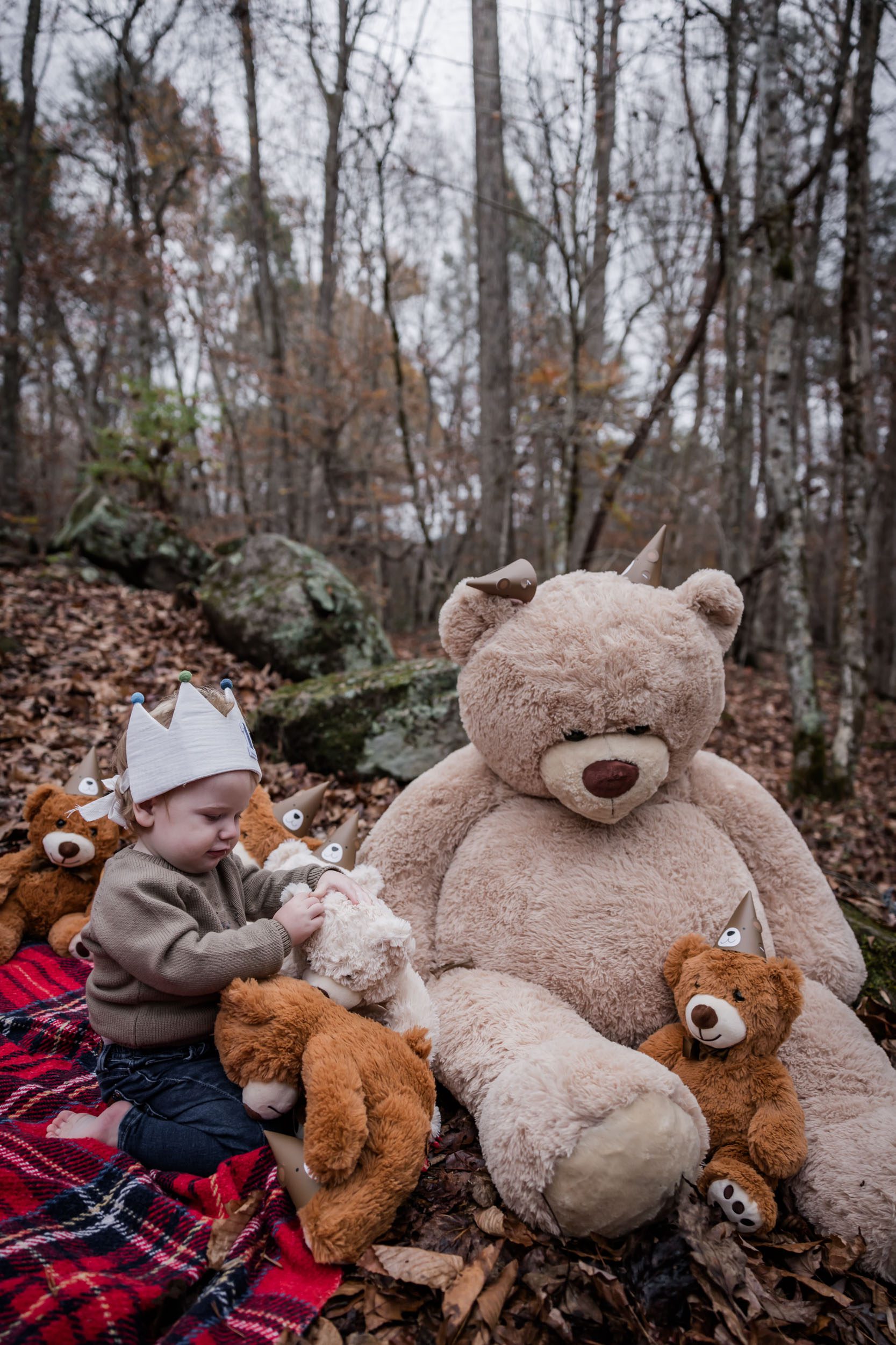 Teddy Bear Picnic 