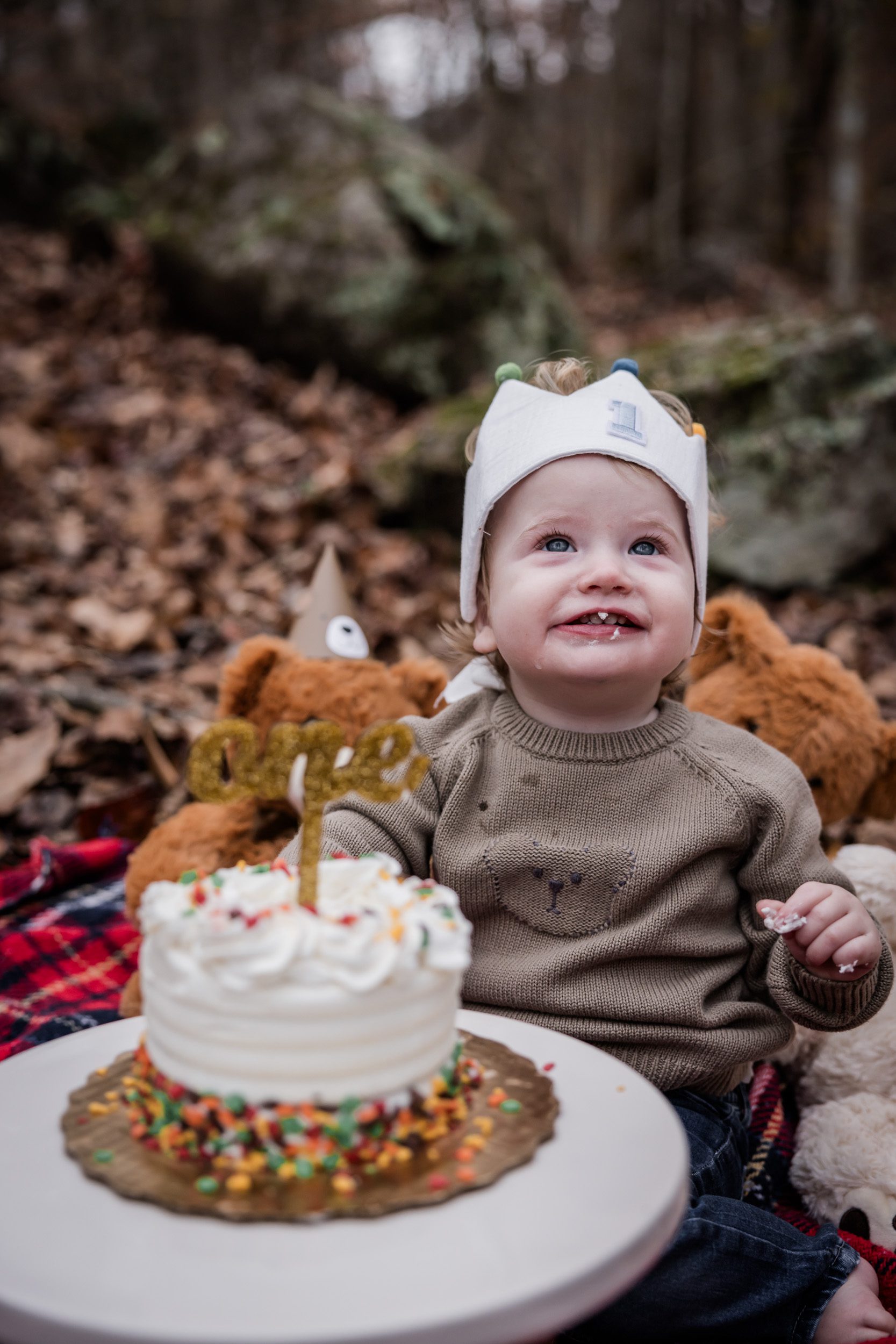 Cake Smash 1st Birthday 