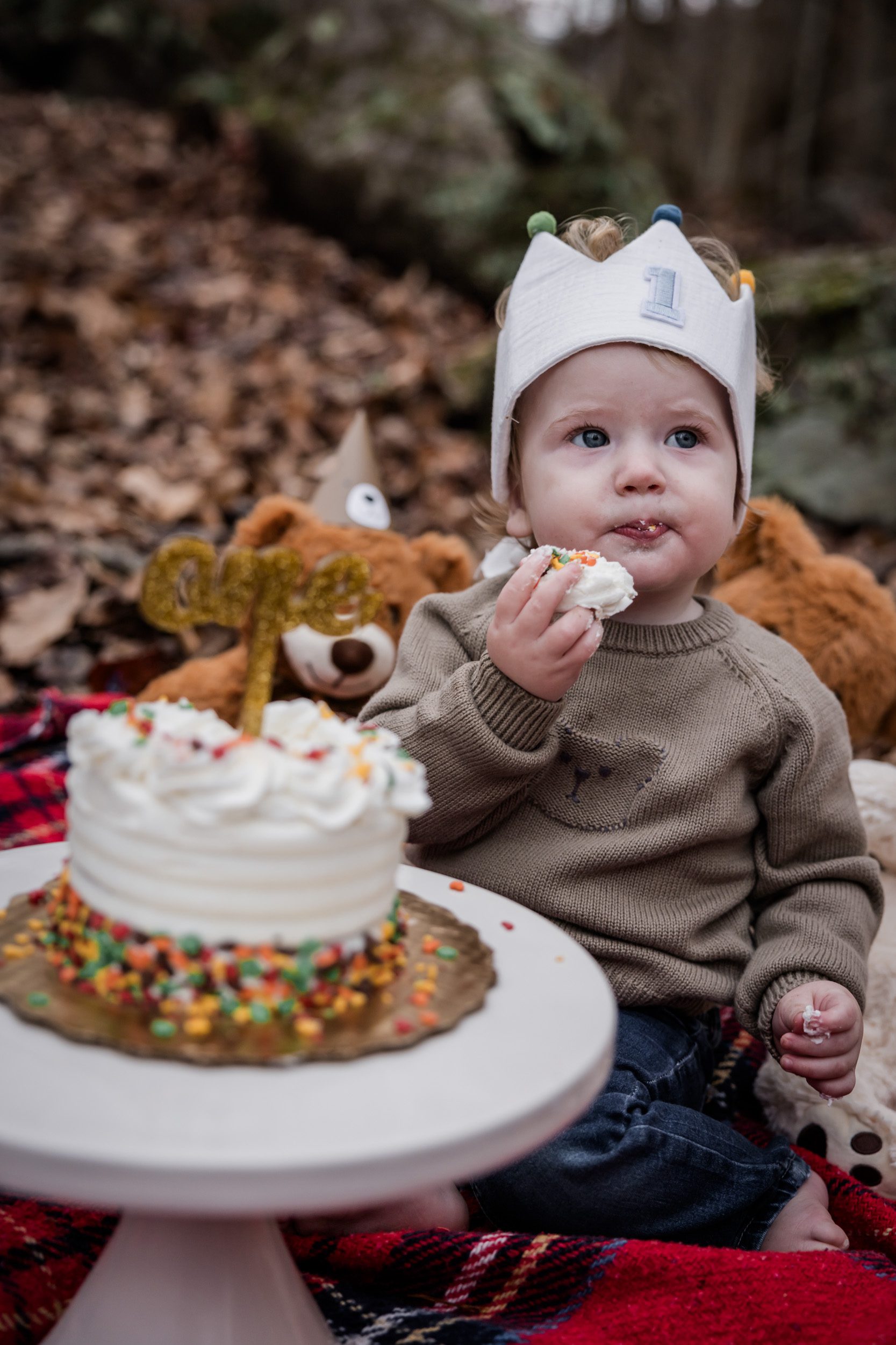 Smoky Mountain Cake Smash 