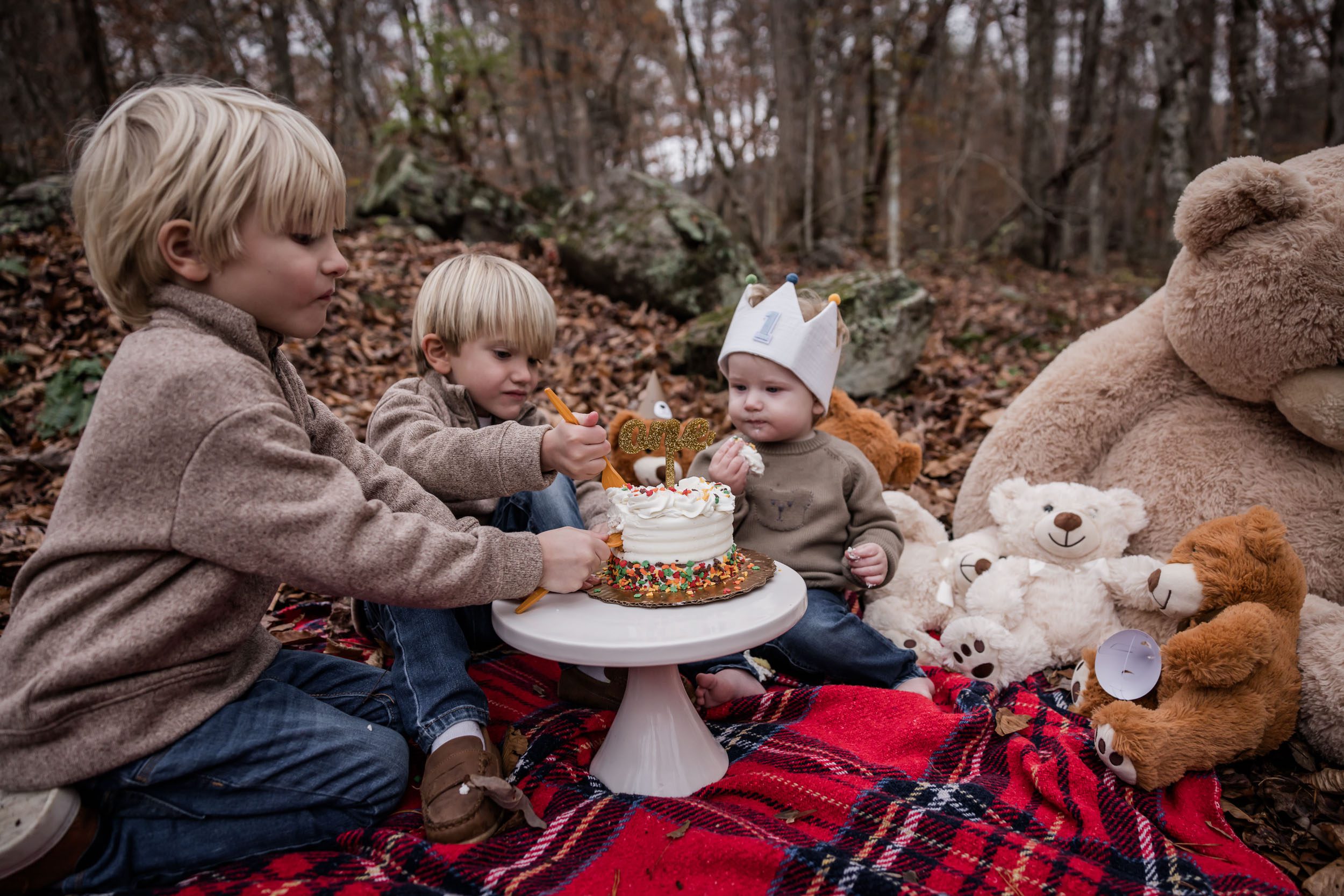 Teddy Bear Picnic 