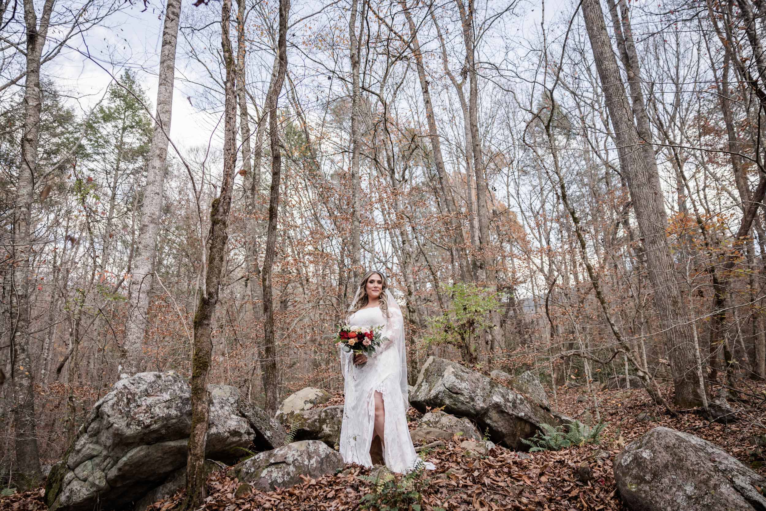 Smoky Mountain Bride 