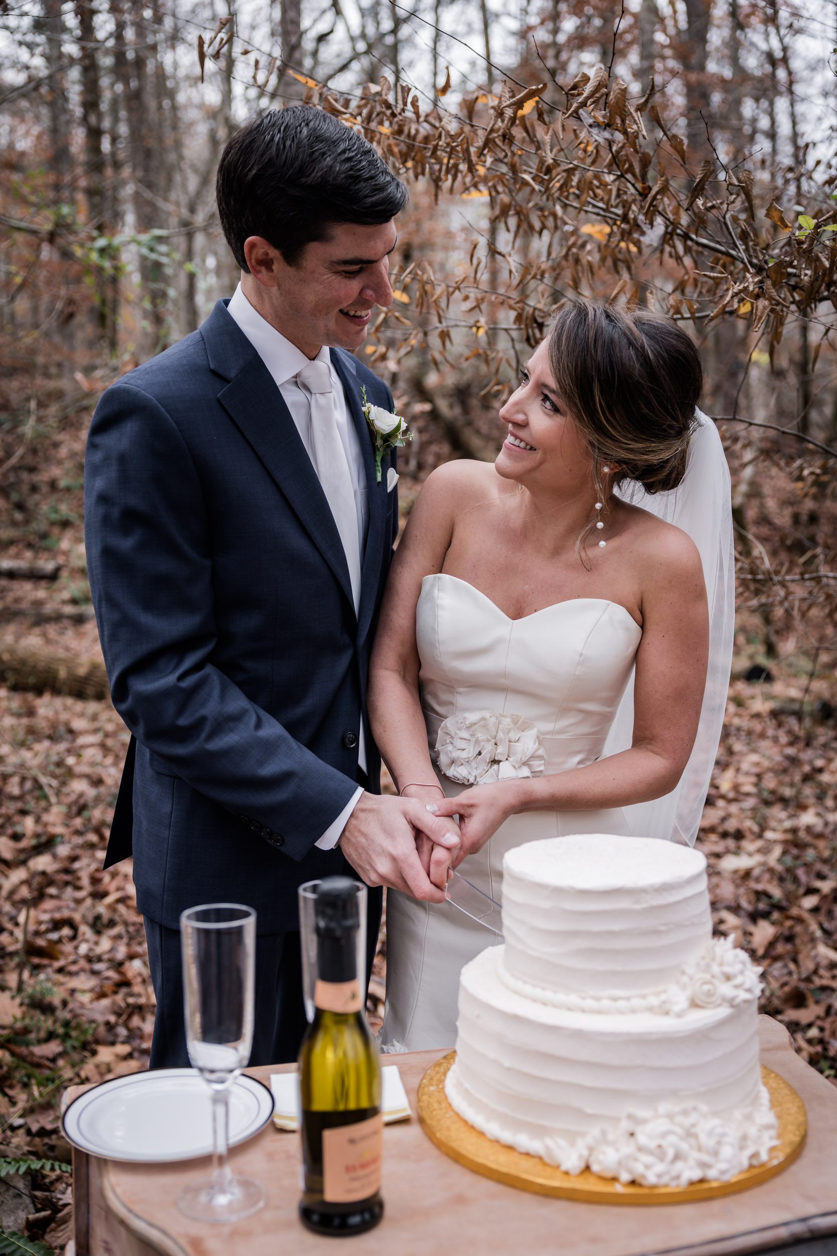 Cake Cutting Pictures 