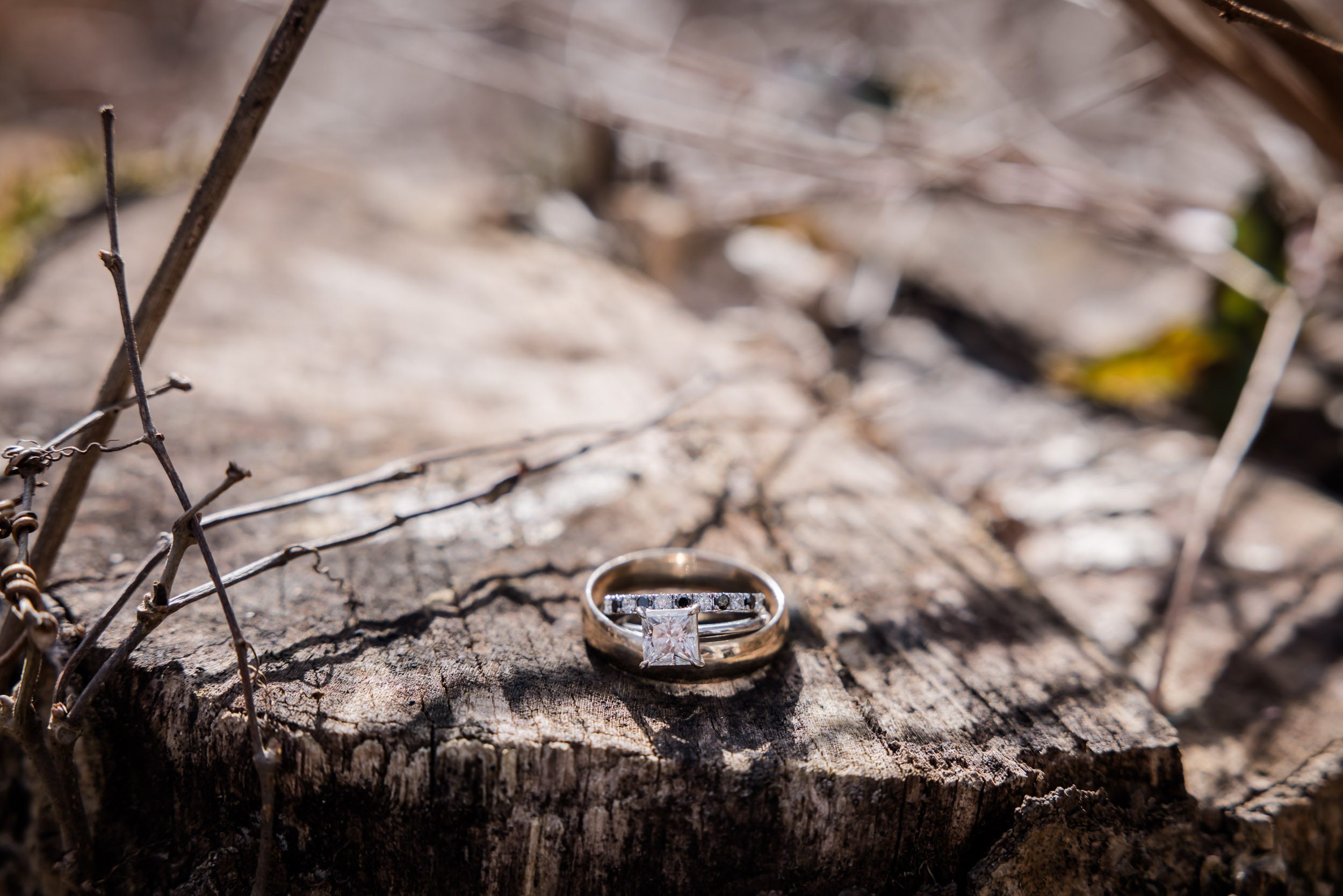 Wedding Rings 