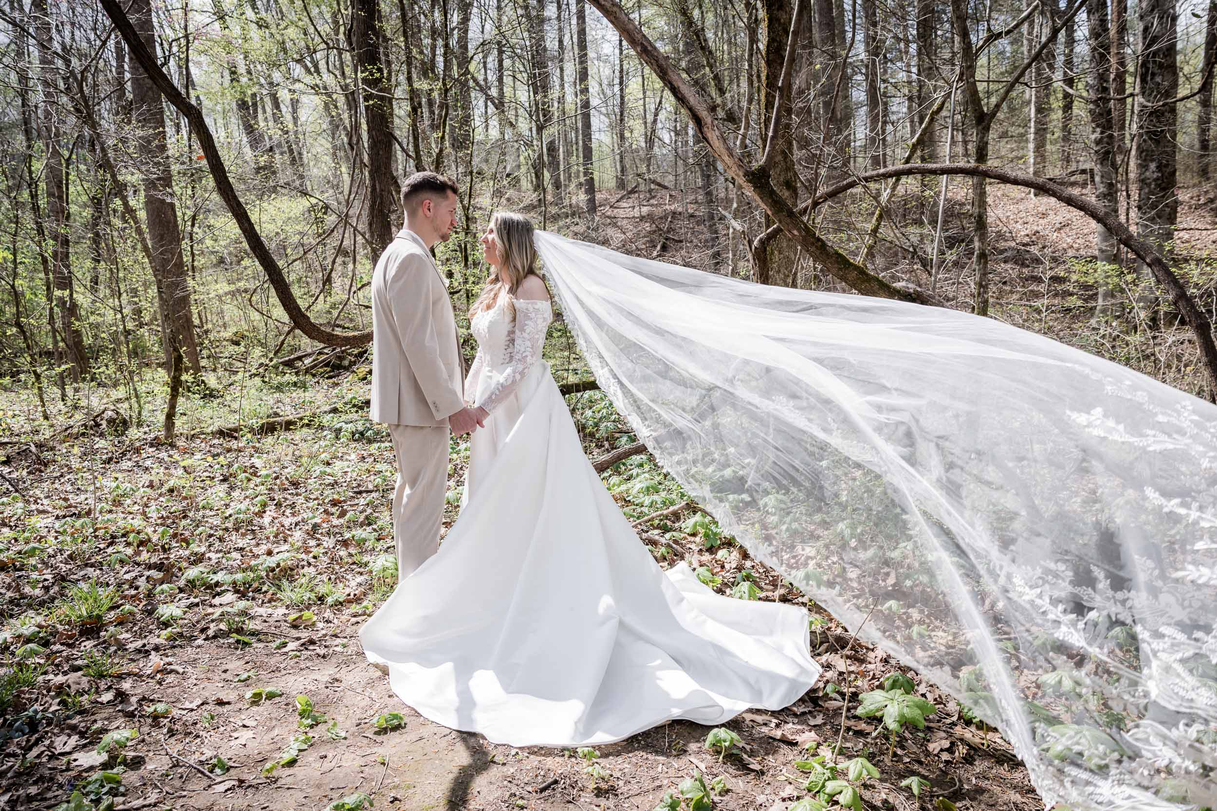 Veil Photo Ideas