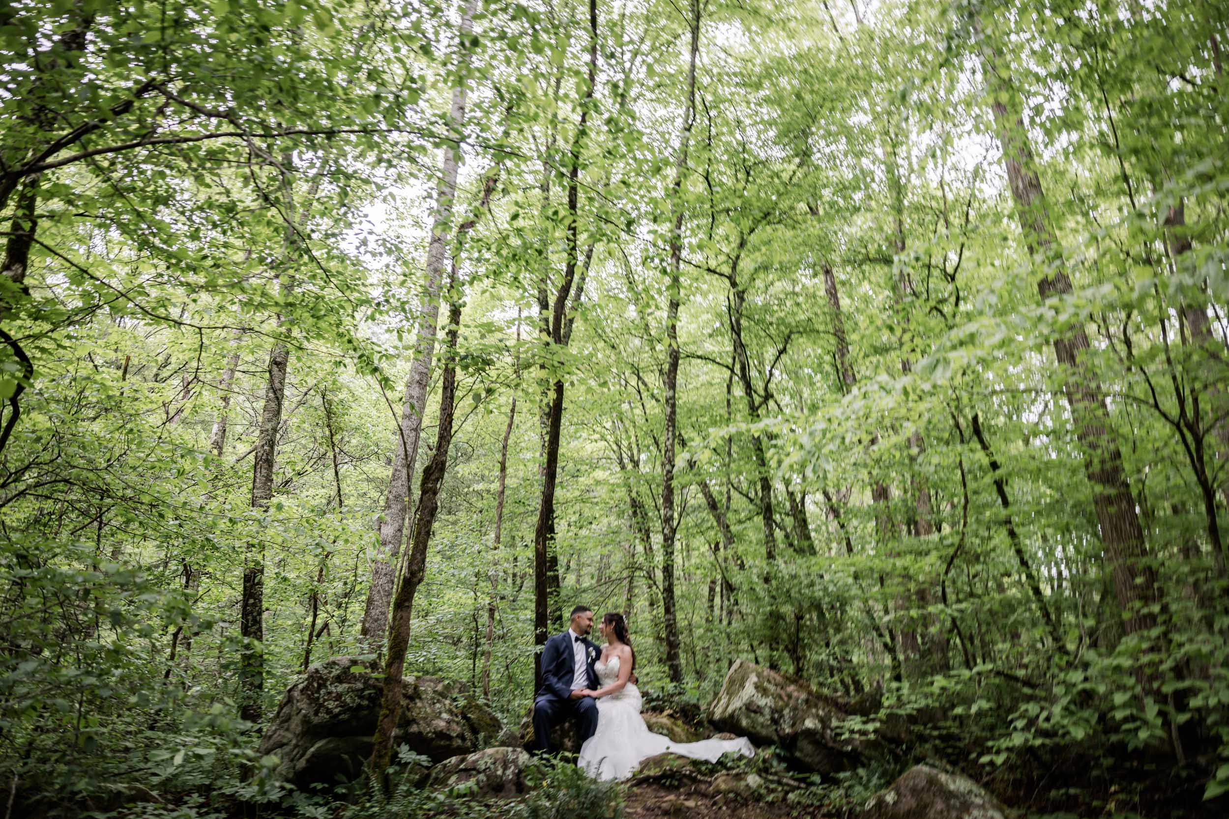 East Tennessee Bride and Groom