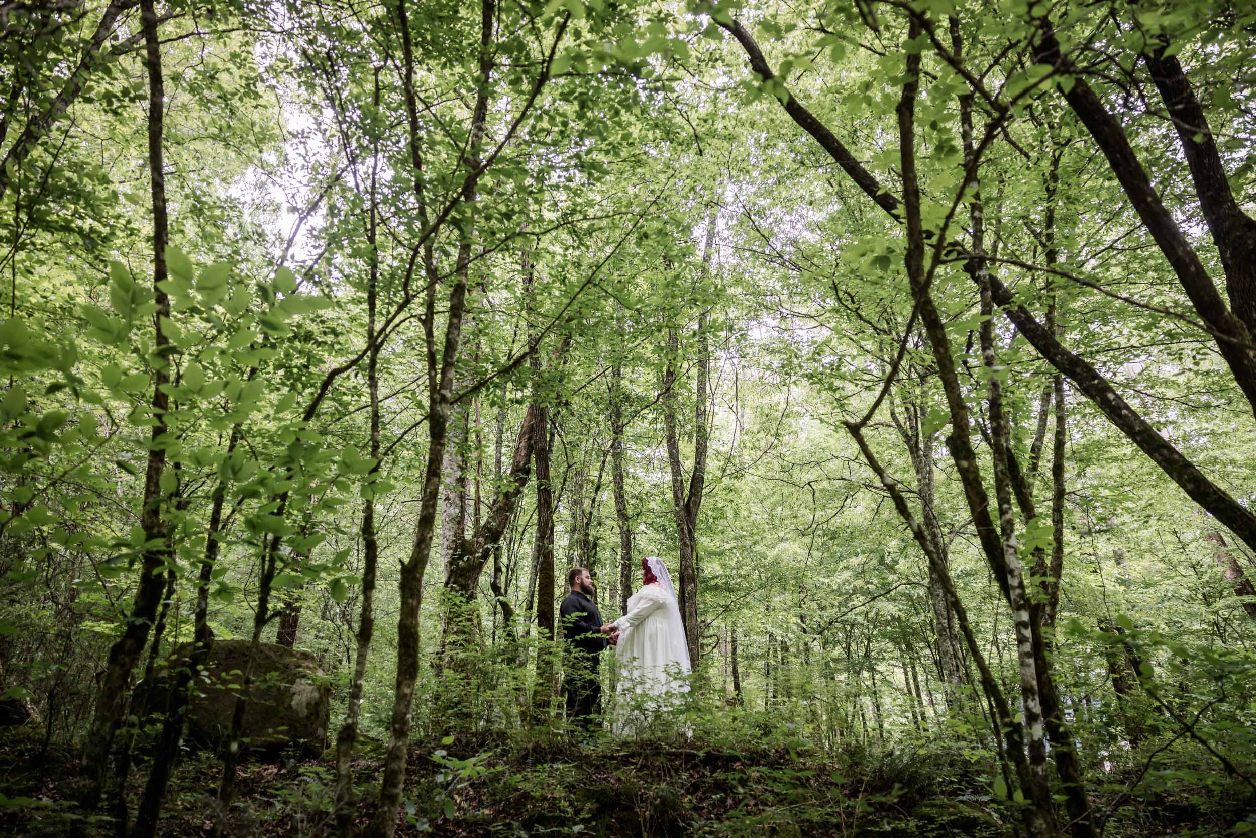 Outdoor Wedding Photography 