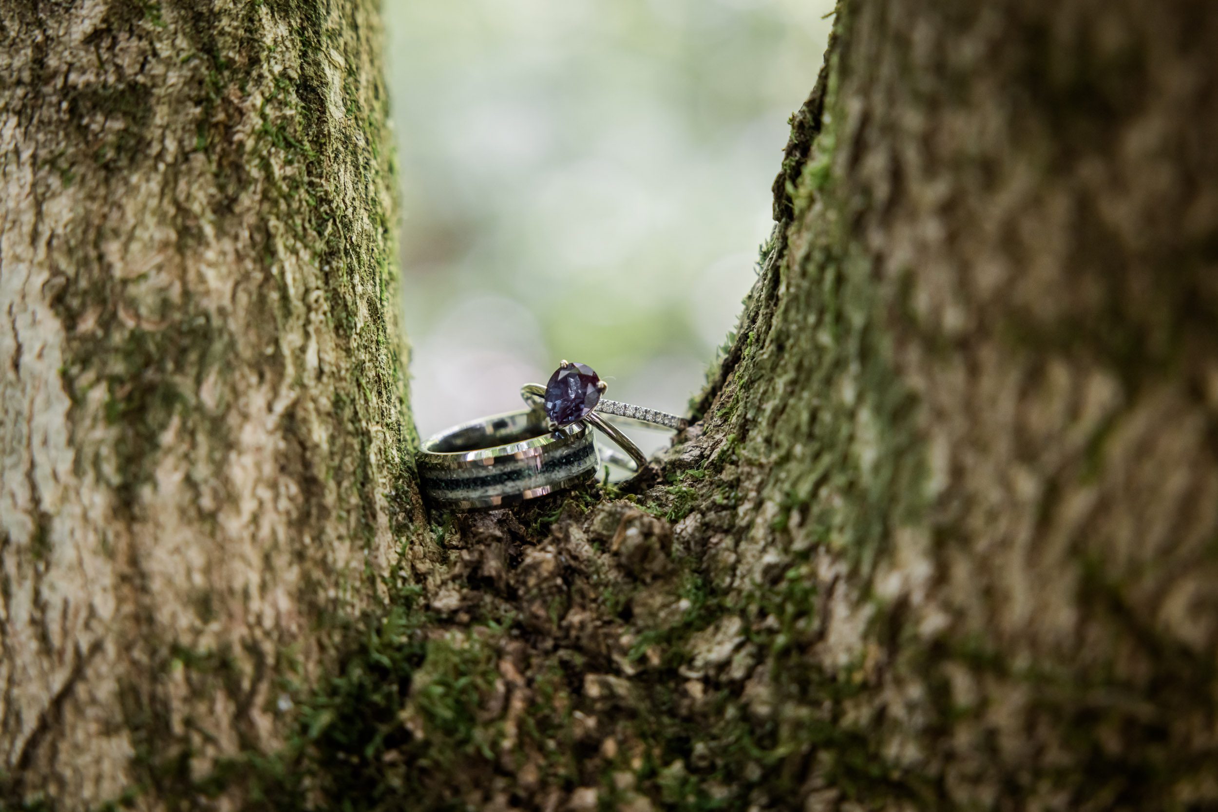 Wedding Rings