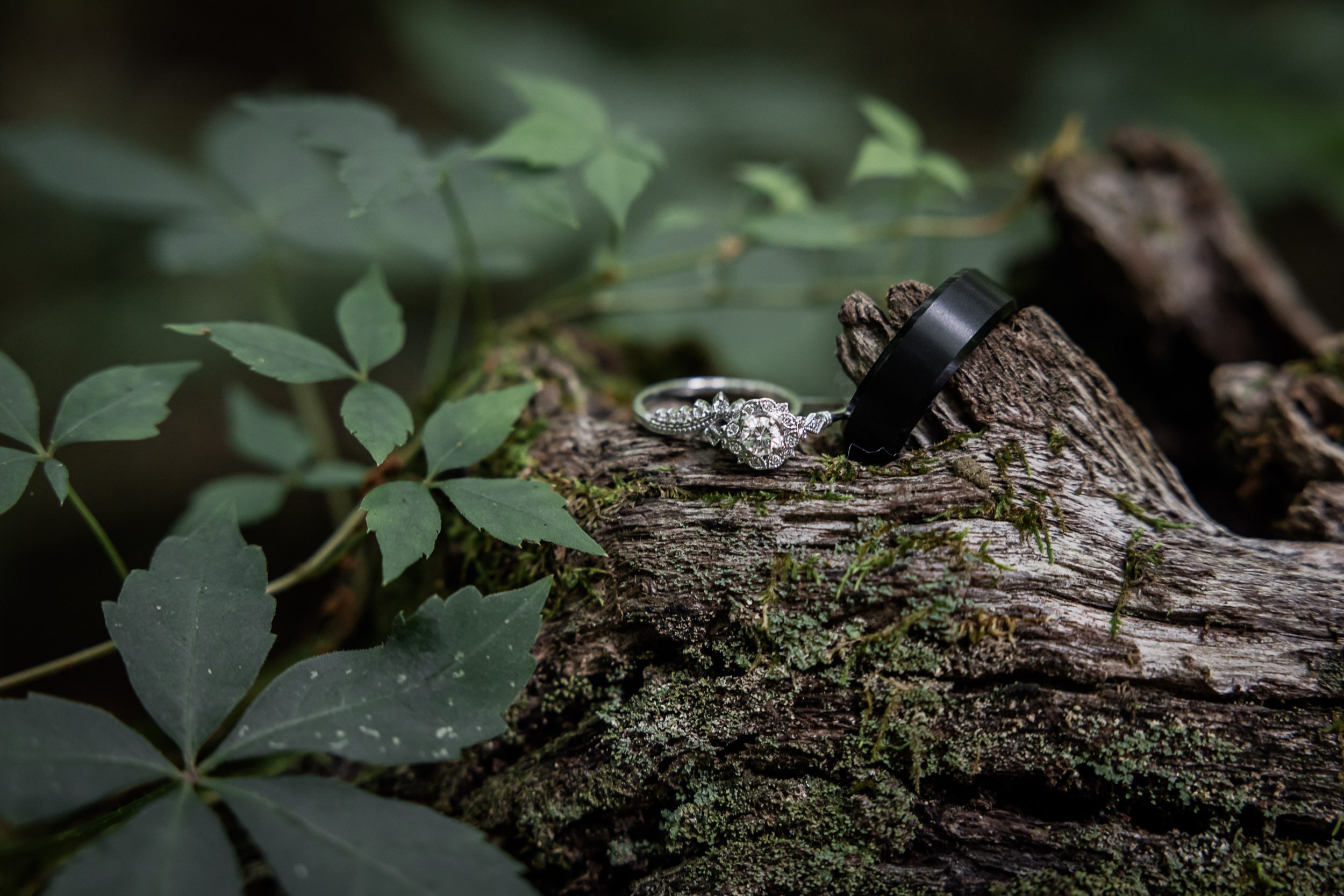 Wedding Rings 