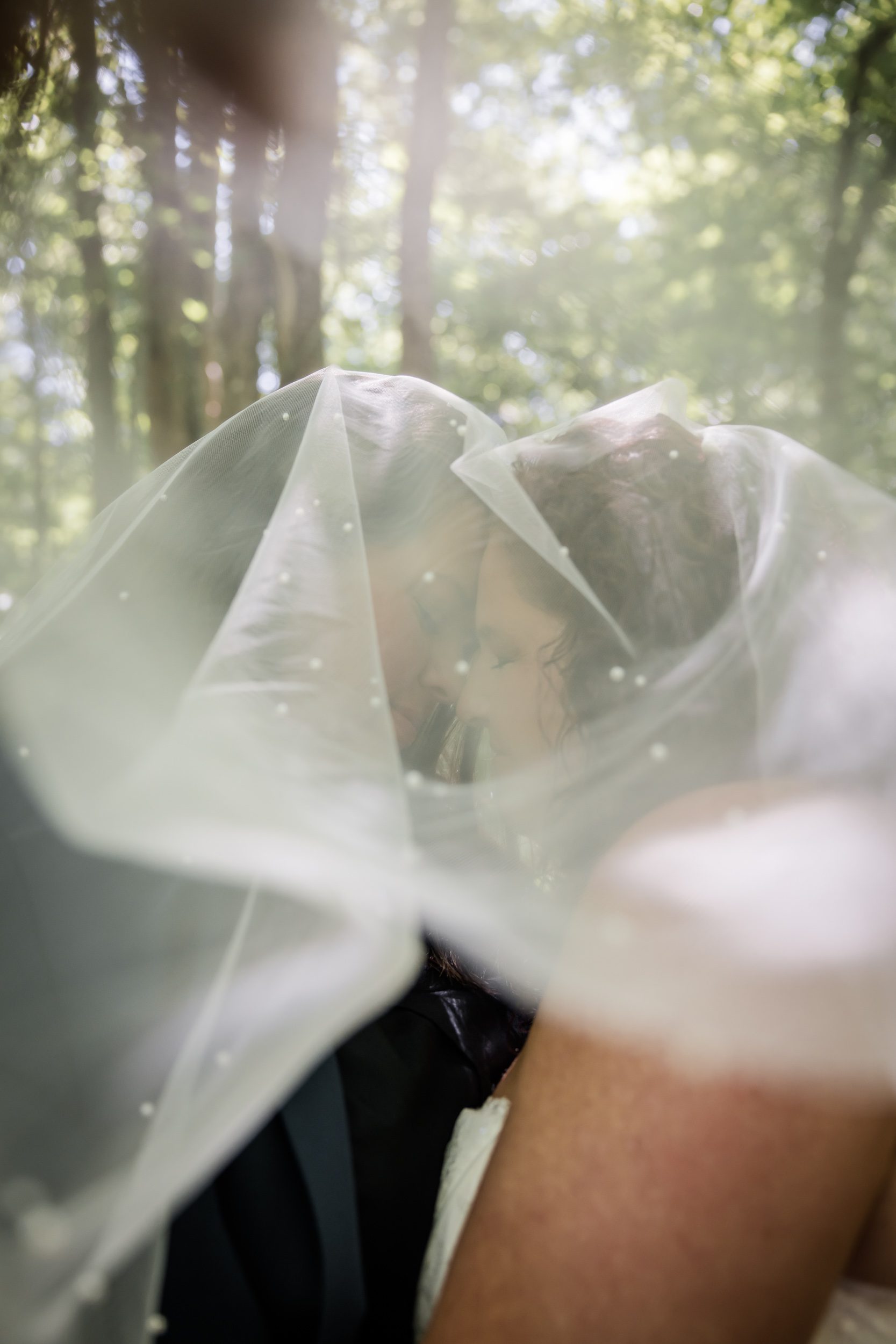Veil Photo Ideas 