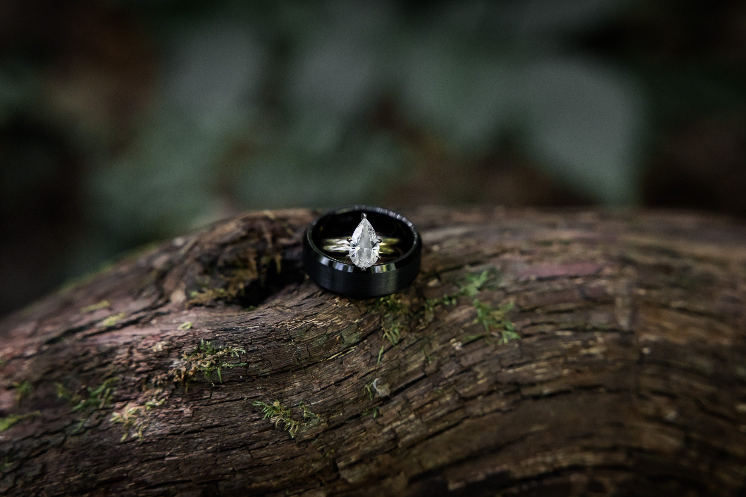 Wedding Rings 