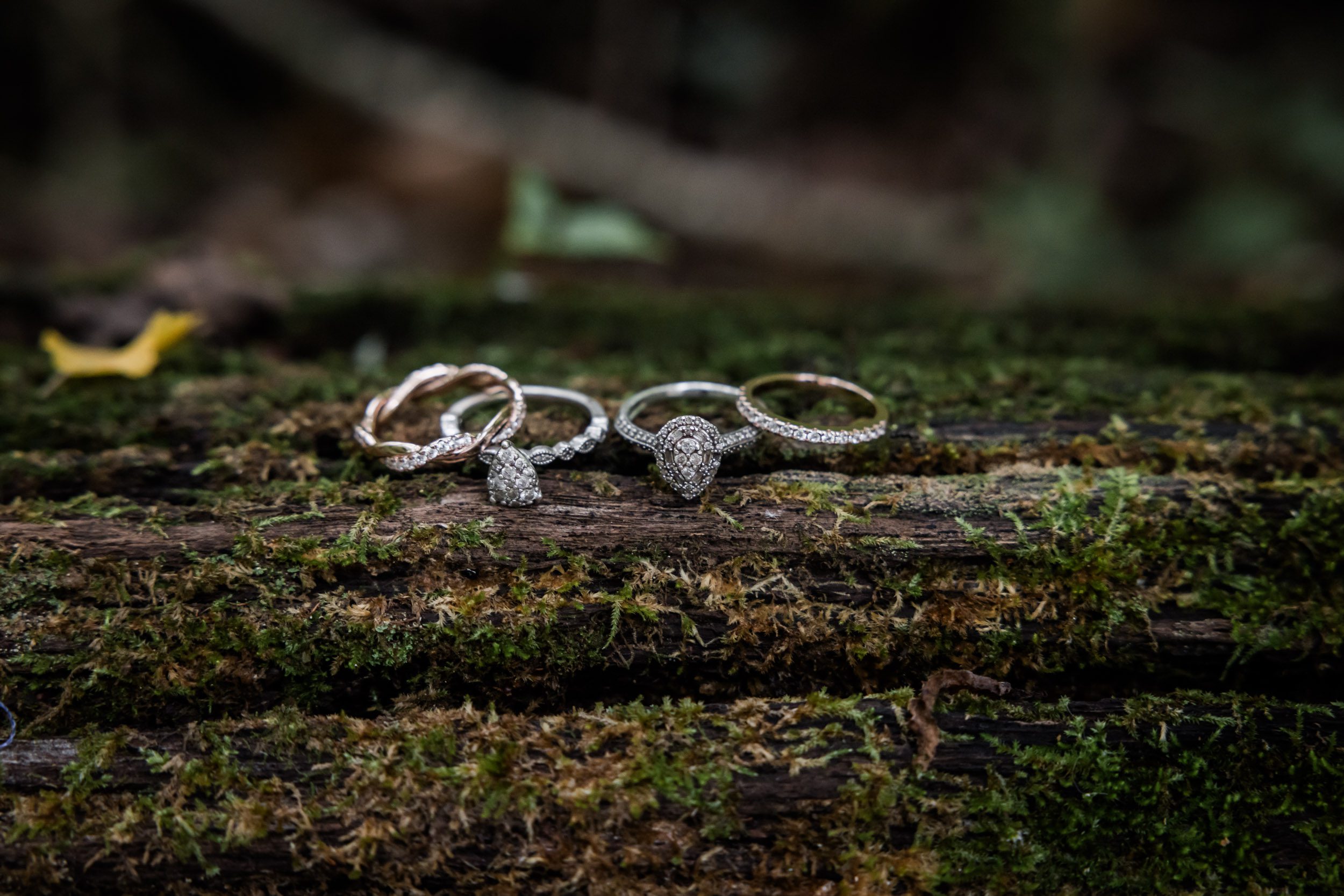 Wedding Rings 