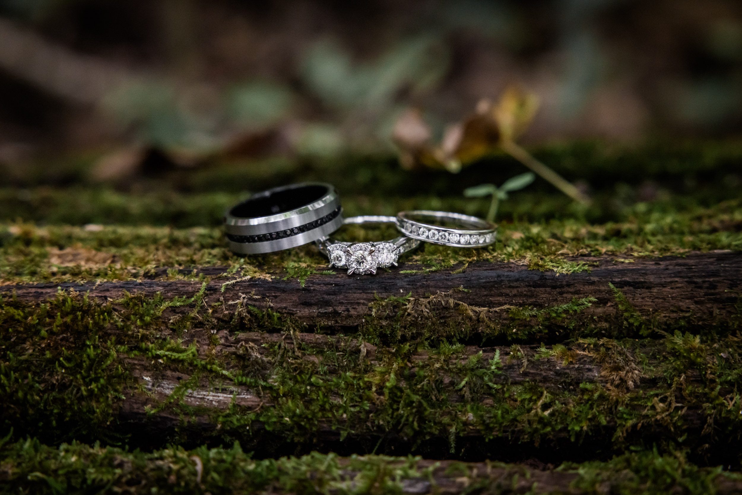 Wedding Rings 