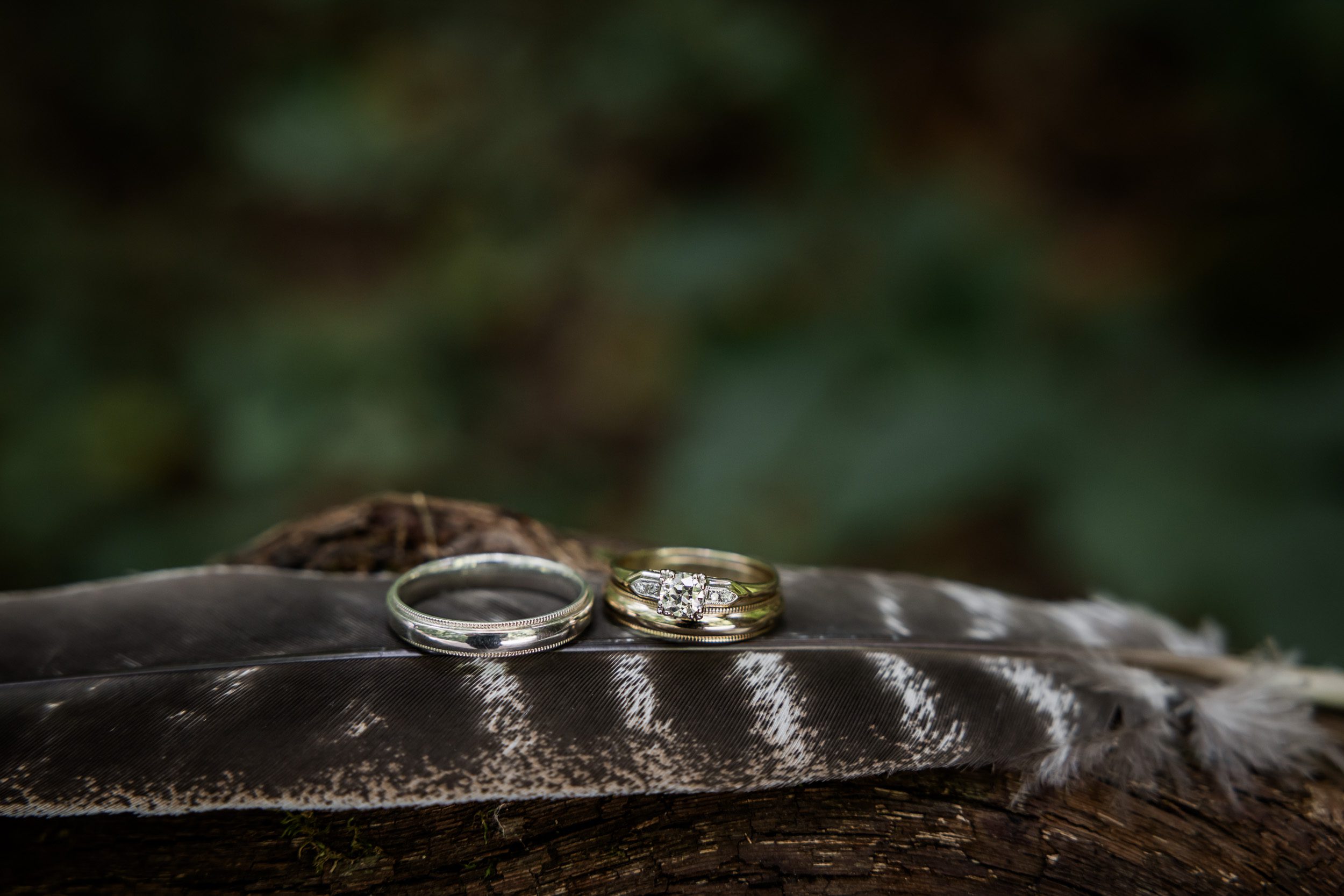 Wedding Rings 