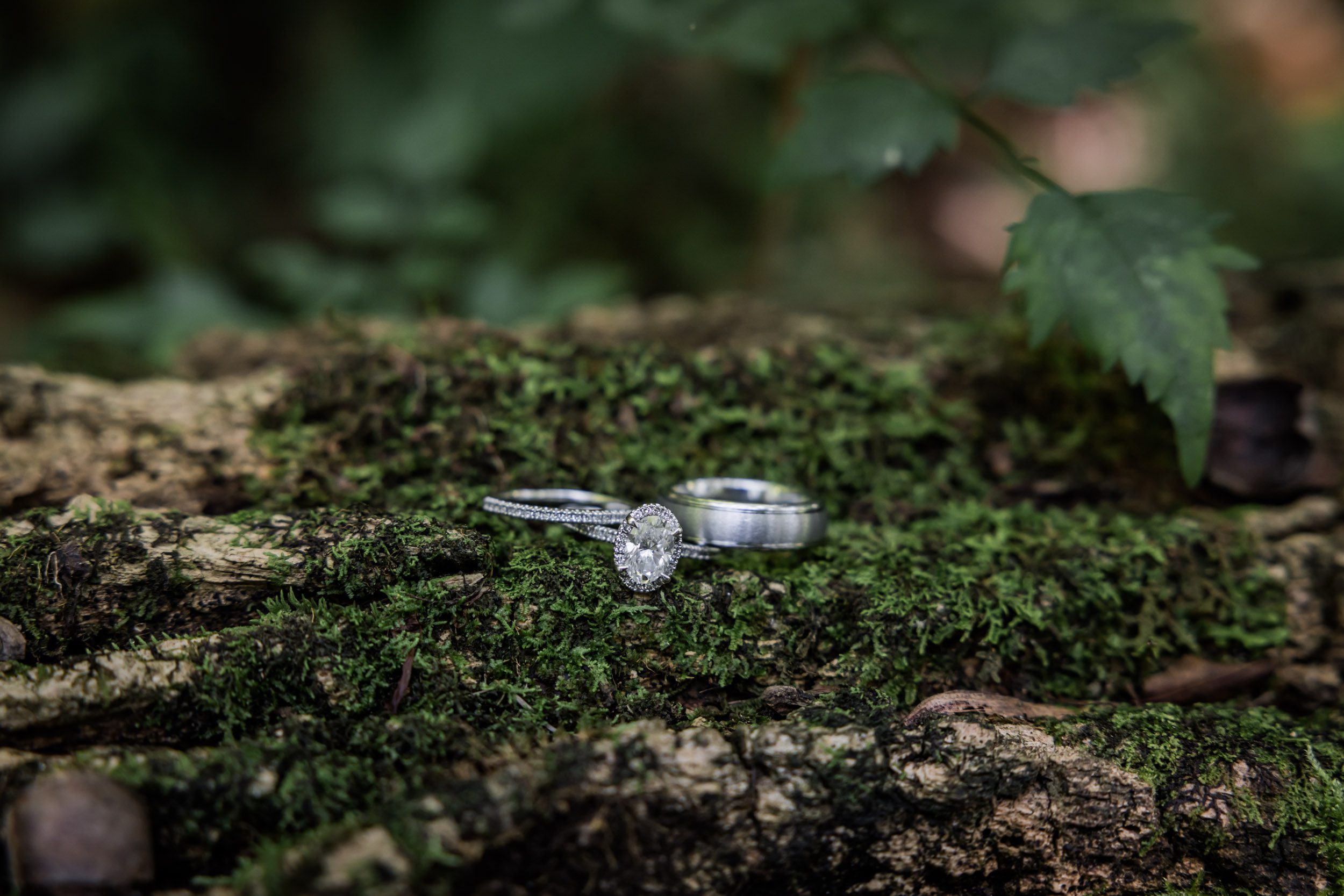 Wedding Rings 