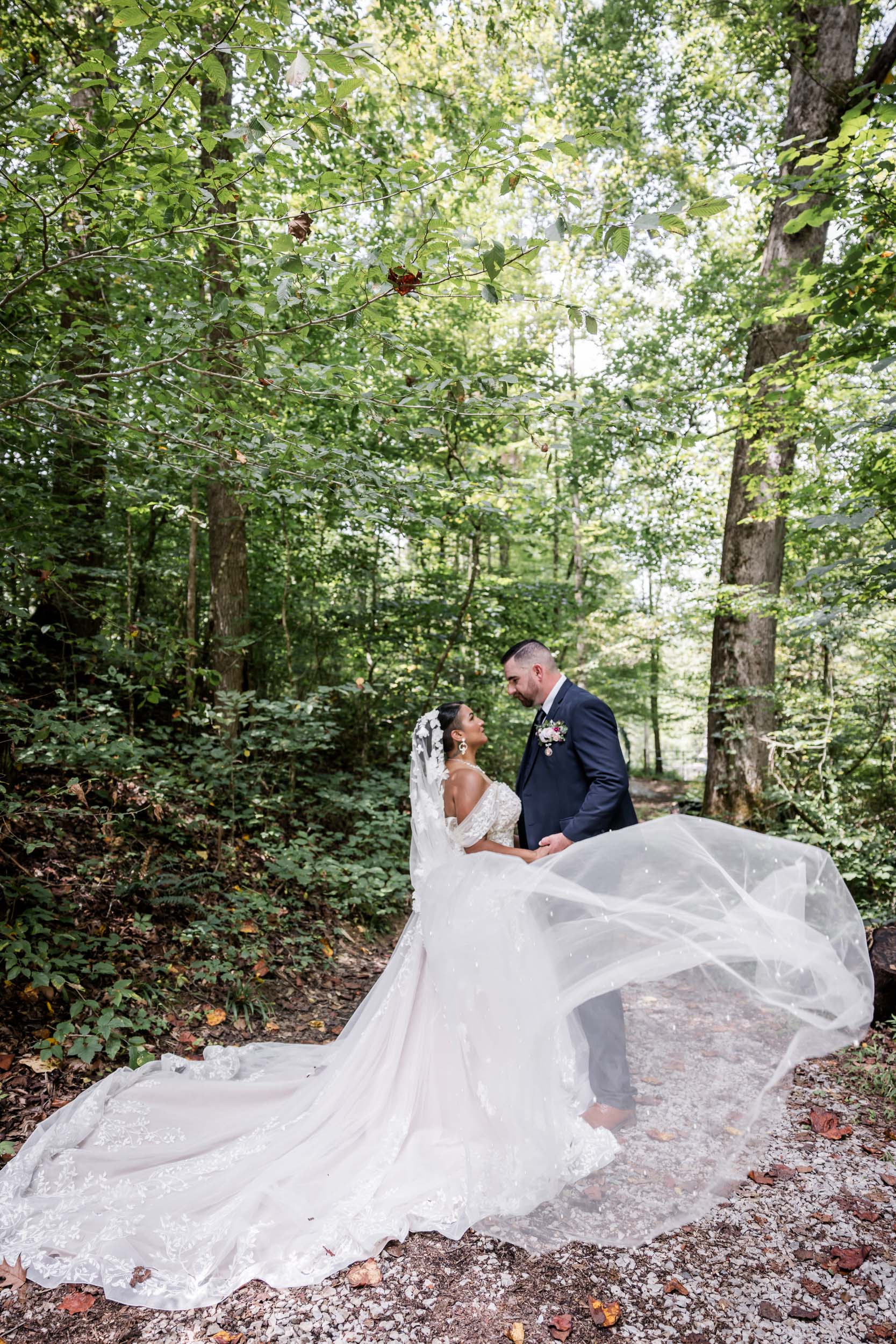 Veil Photos 