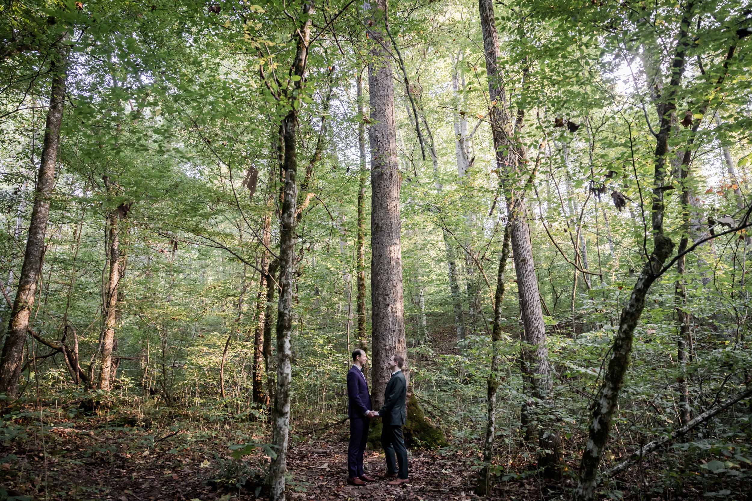 Purple and Green Wedding 
