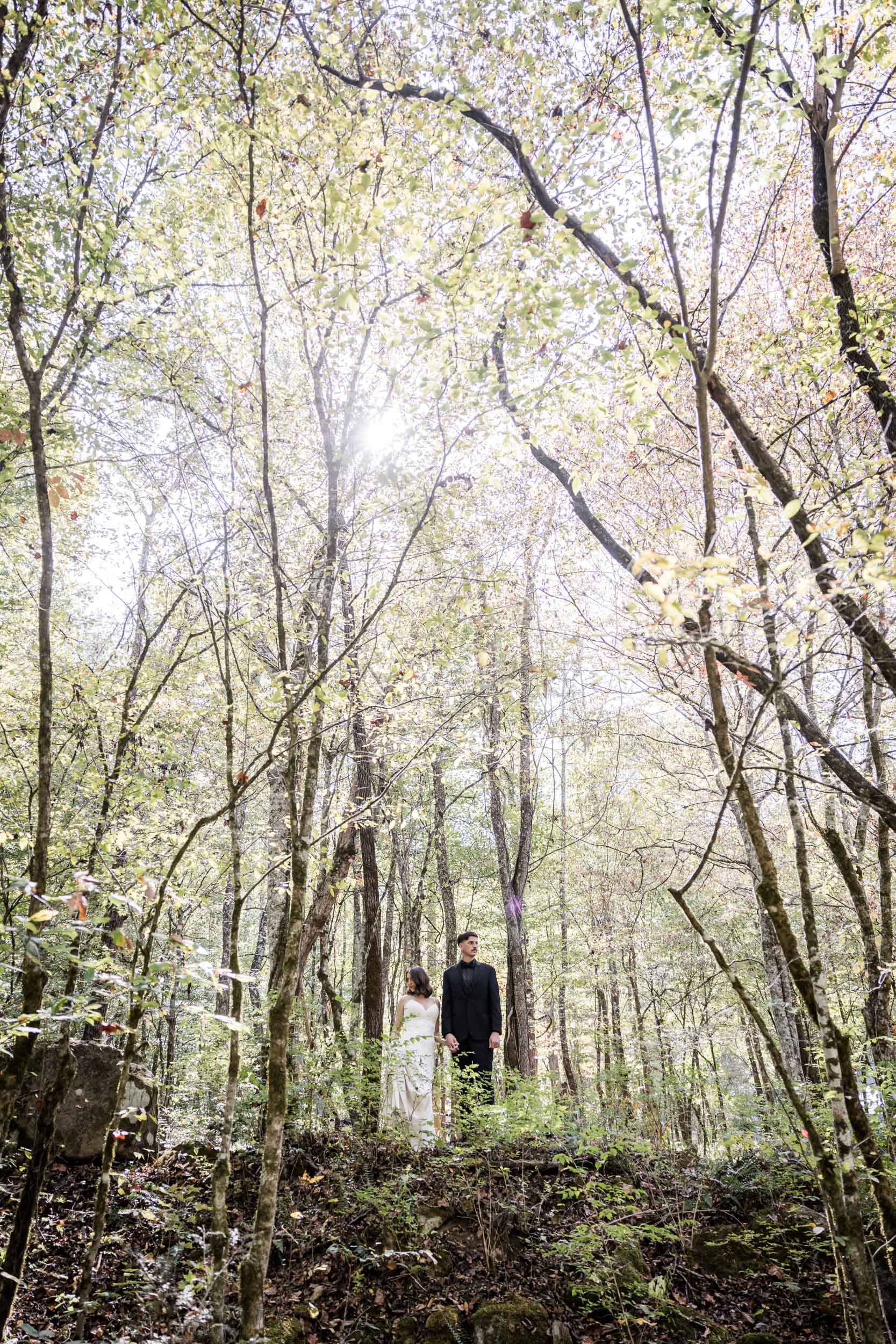 East Tennessee Bride and Groom 