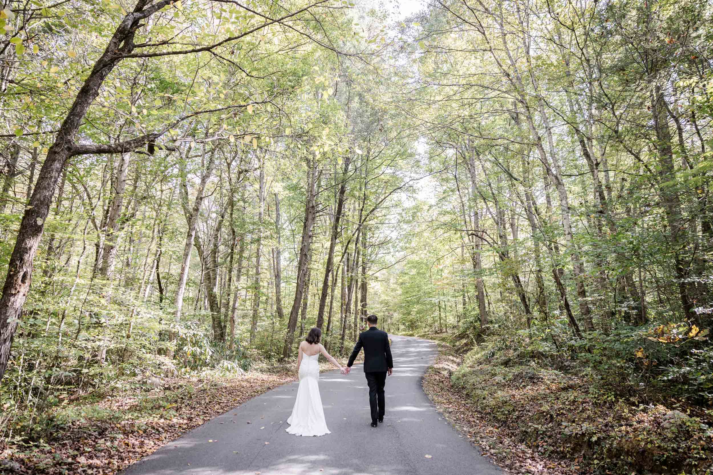 Smoky Mountain Bride and Groom 