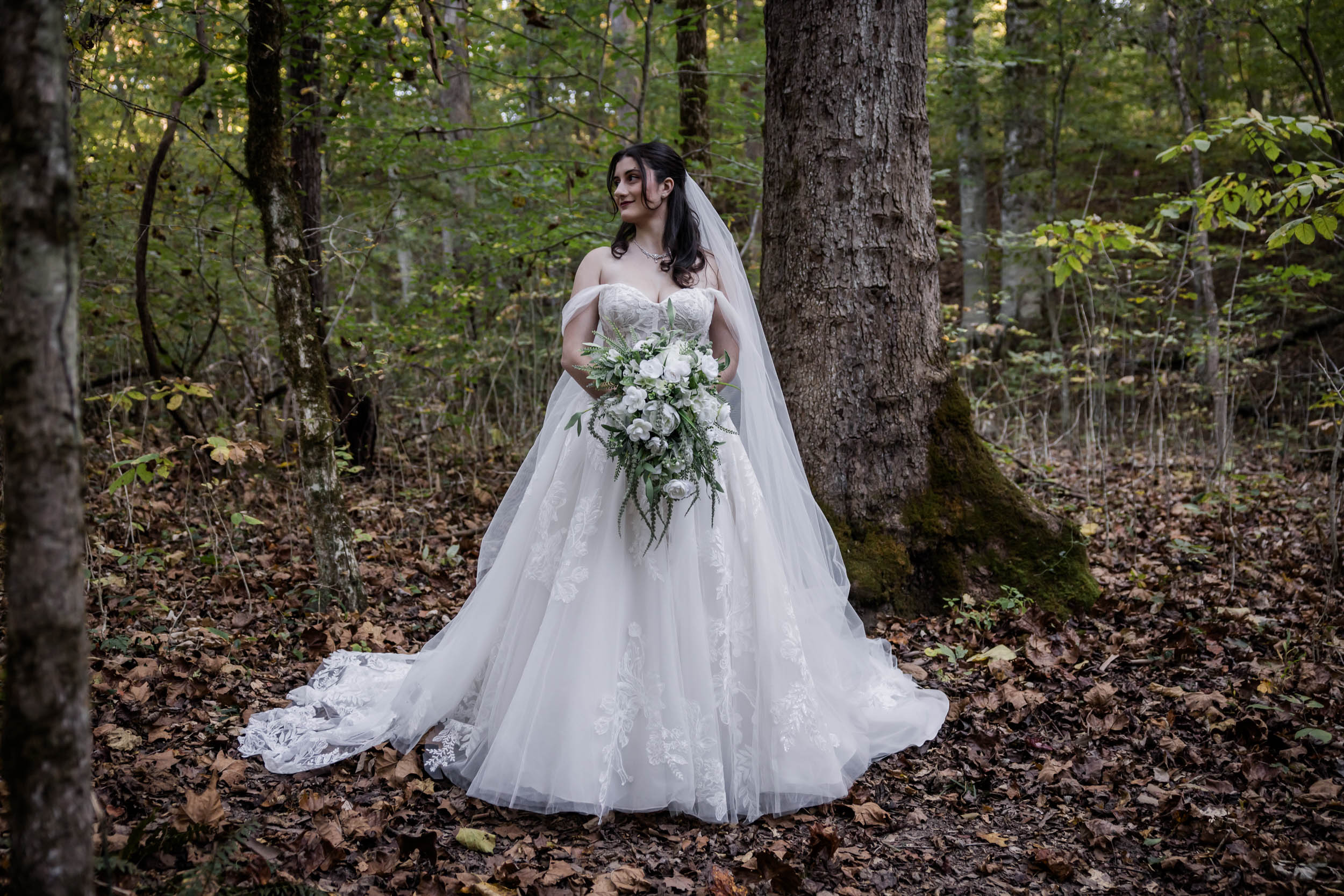 Smoky Mountain Bridal Photographer 