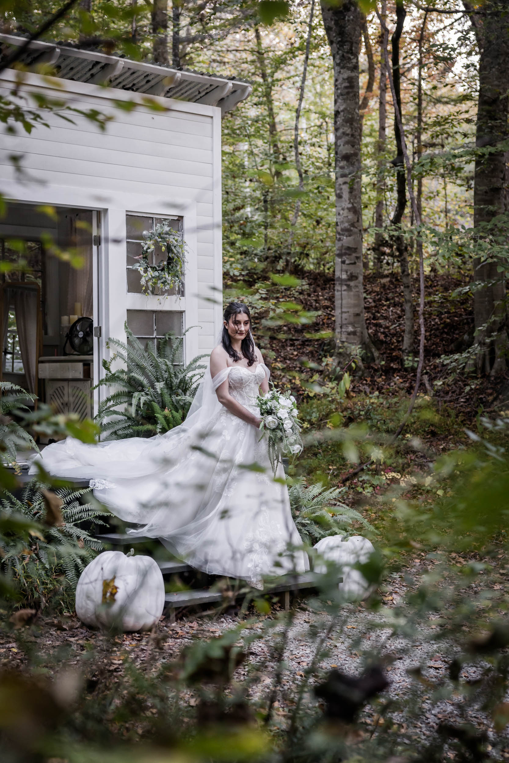 Smoky Mountain Bride 