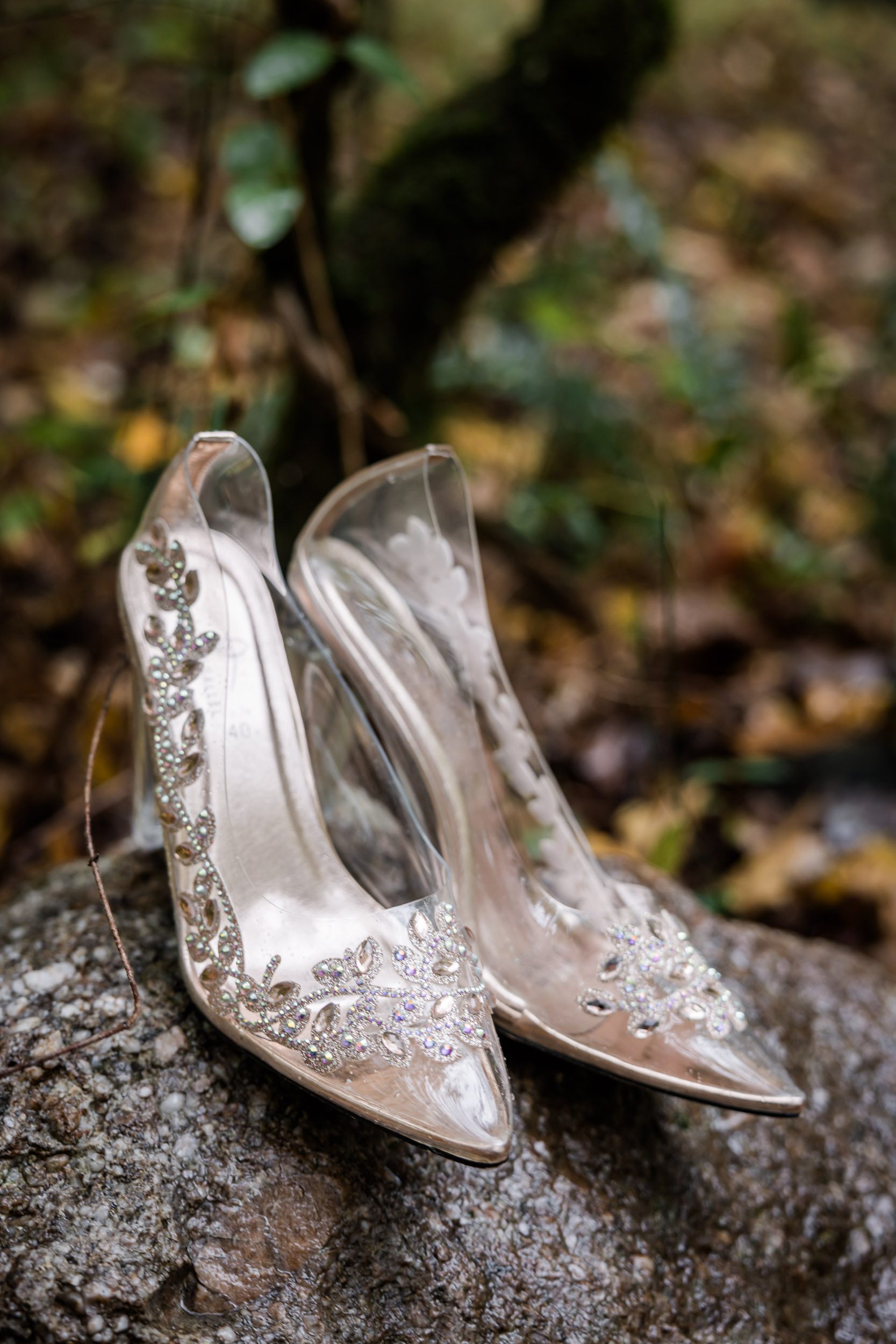 Wedding Shoes 