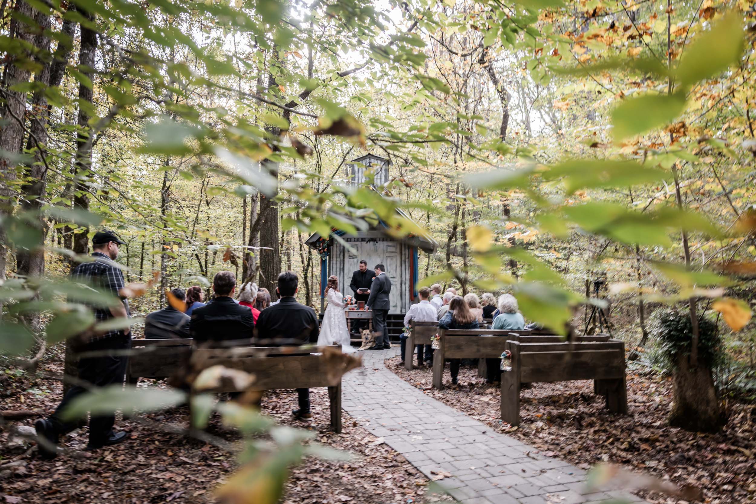 Late October Micro Wedding