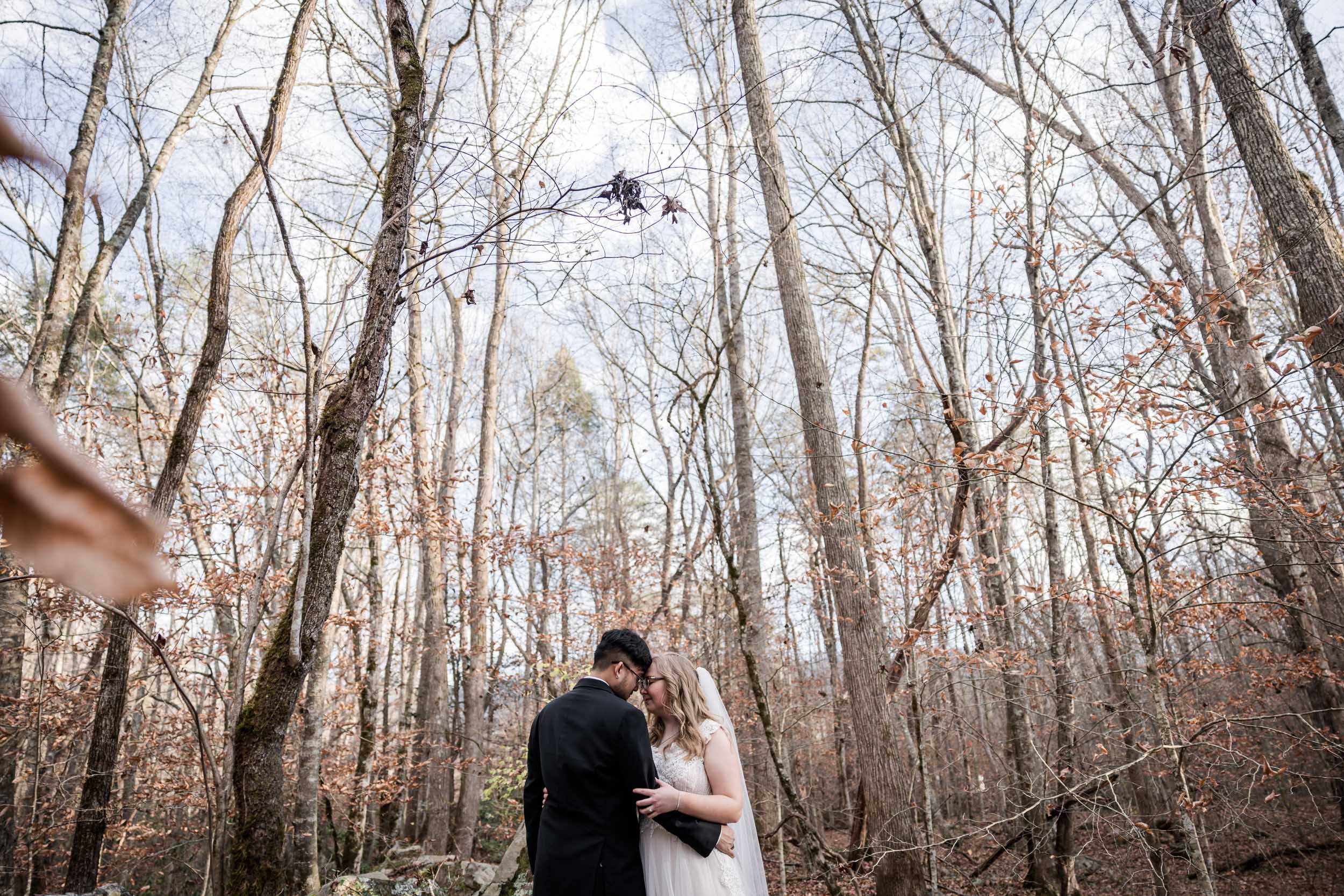 Smoky Mountain Fall Photography 