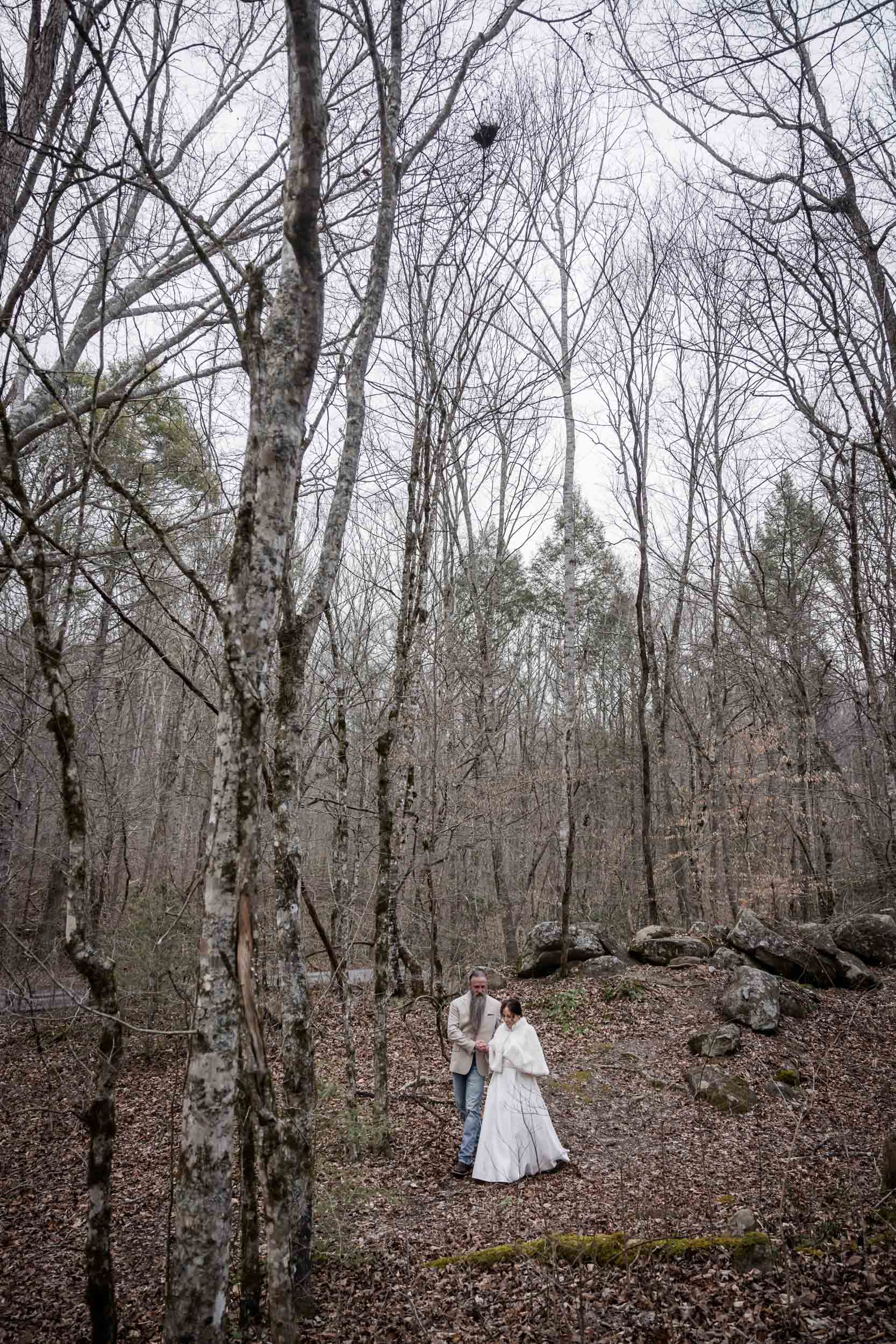 Smoky Mountain Wedding Photography 