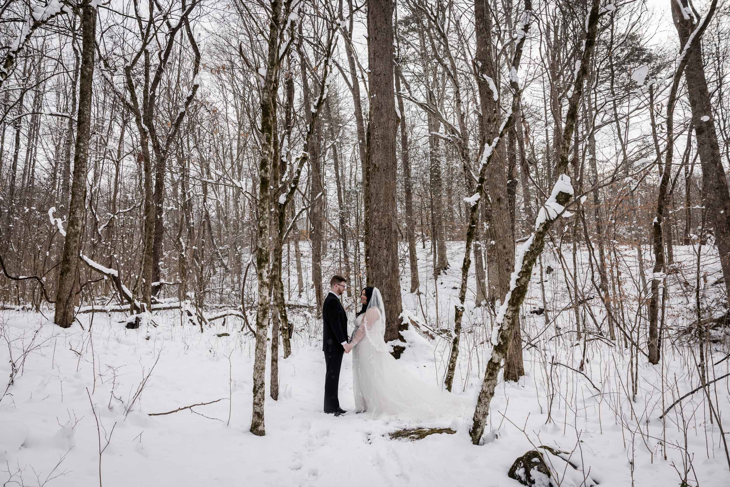 Snowy Smoky Mountain Elopement 