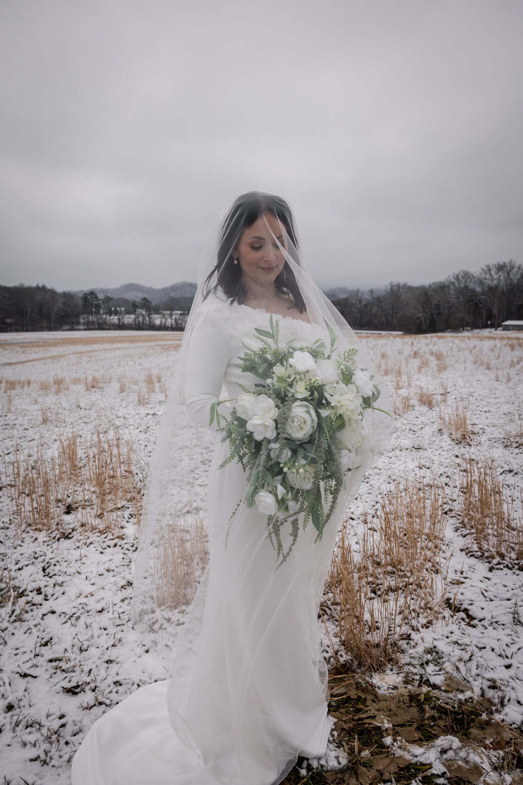Bridal Veil Photo Ideas 