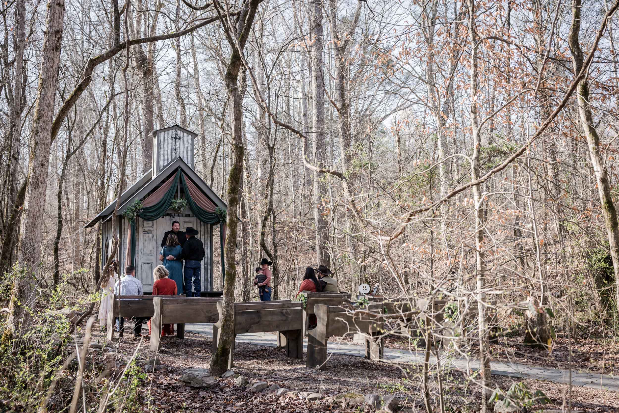 Morning Forest Elopement 