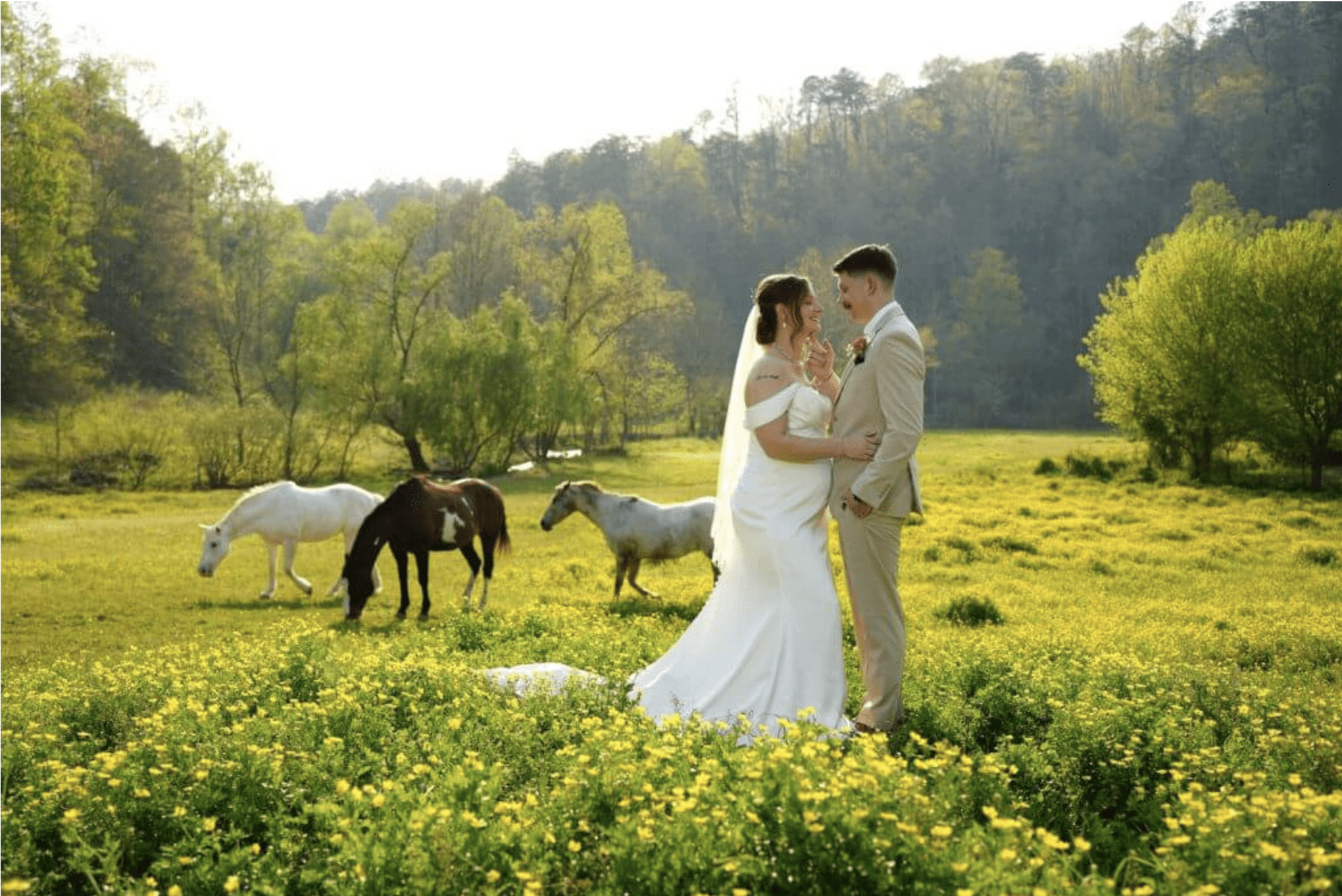 honeysuckle hills small venue smoky mountains