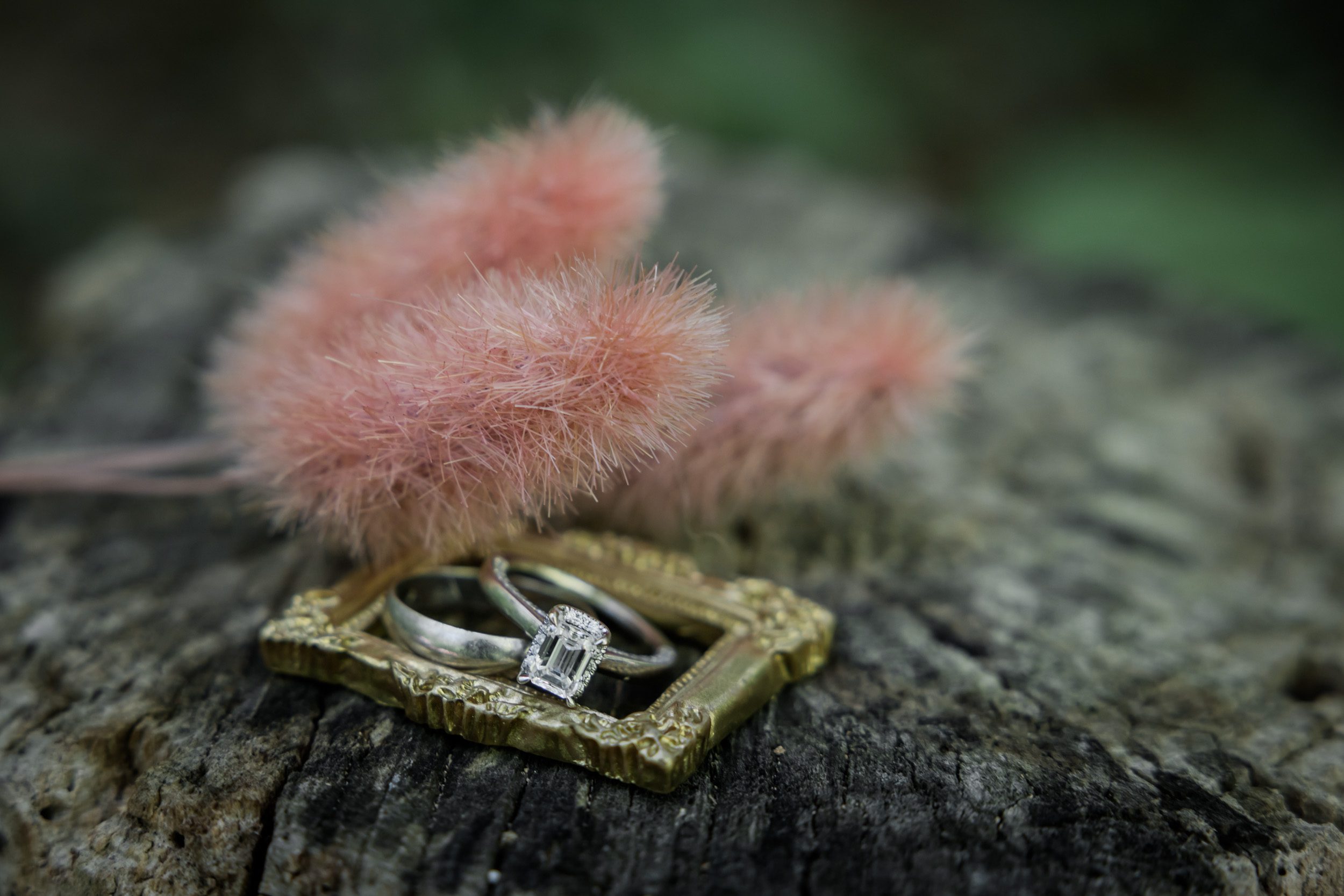 Wedding Rings 
