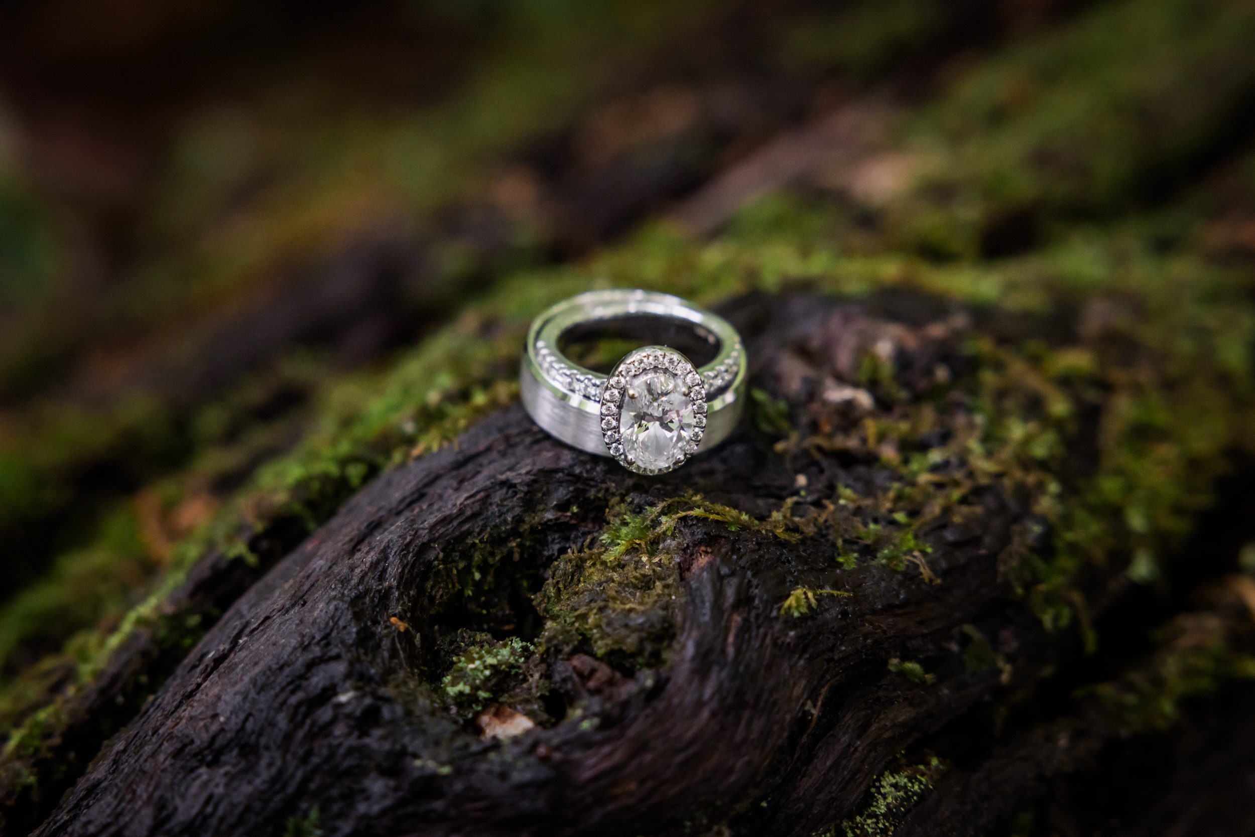 Wedding Rings 