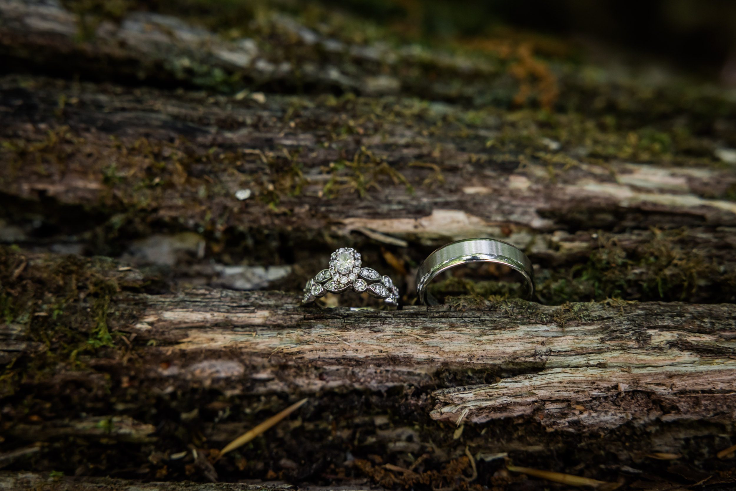Wedding Rings 
