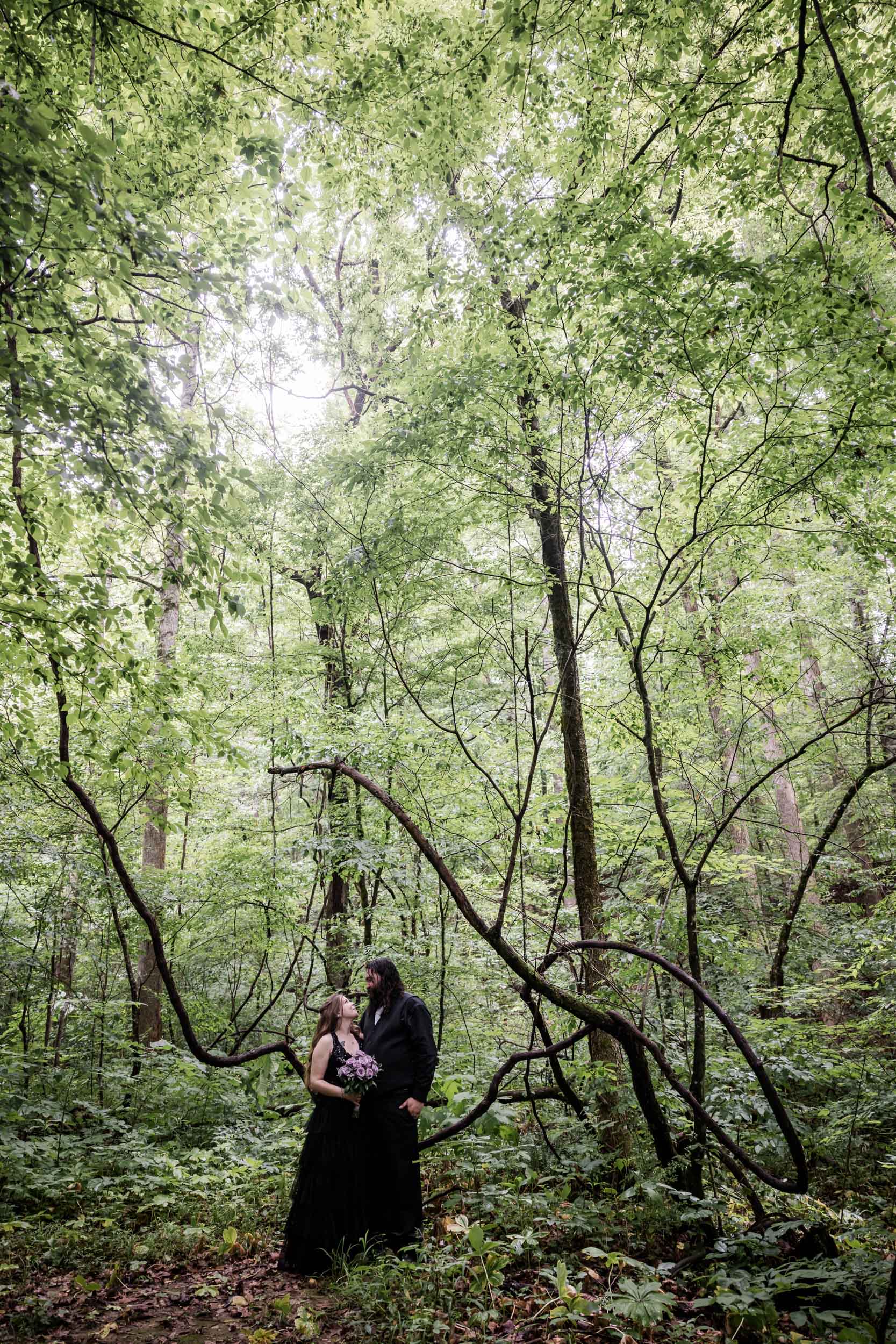 Gothic Southern Spring Fairytale 