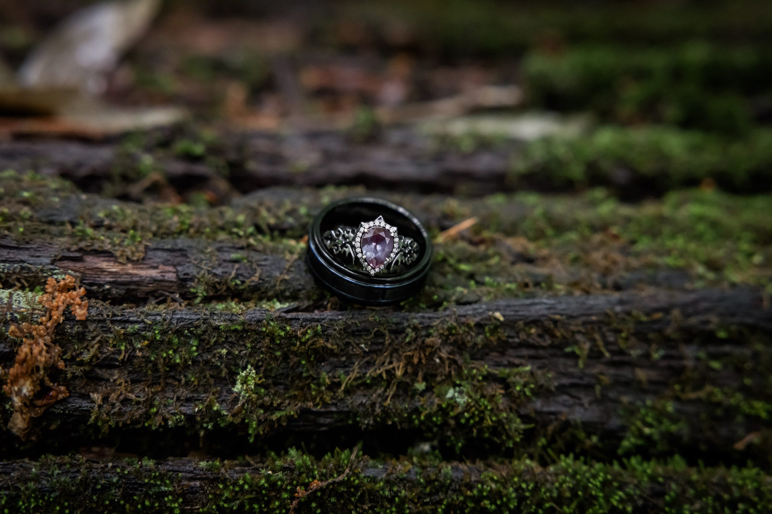 Wedding Rings 