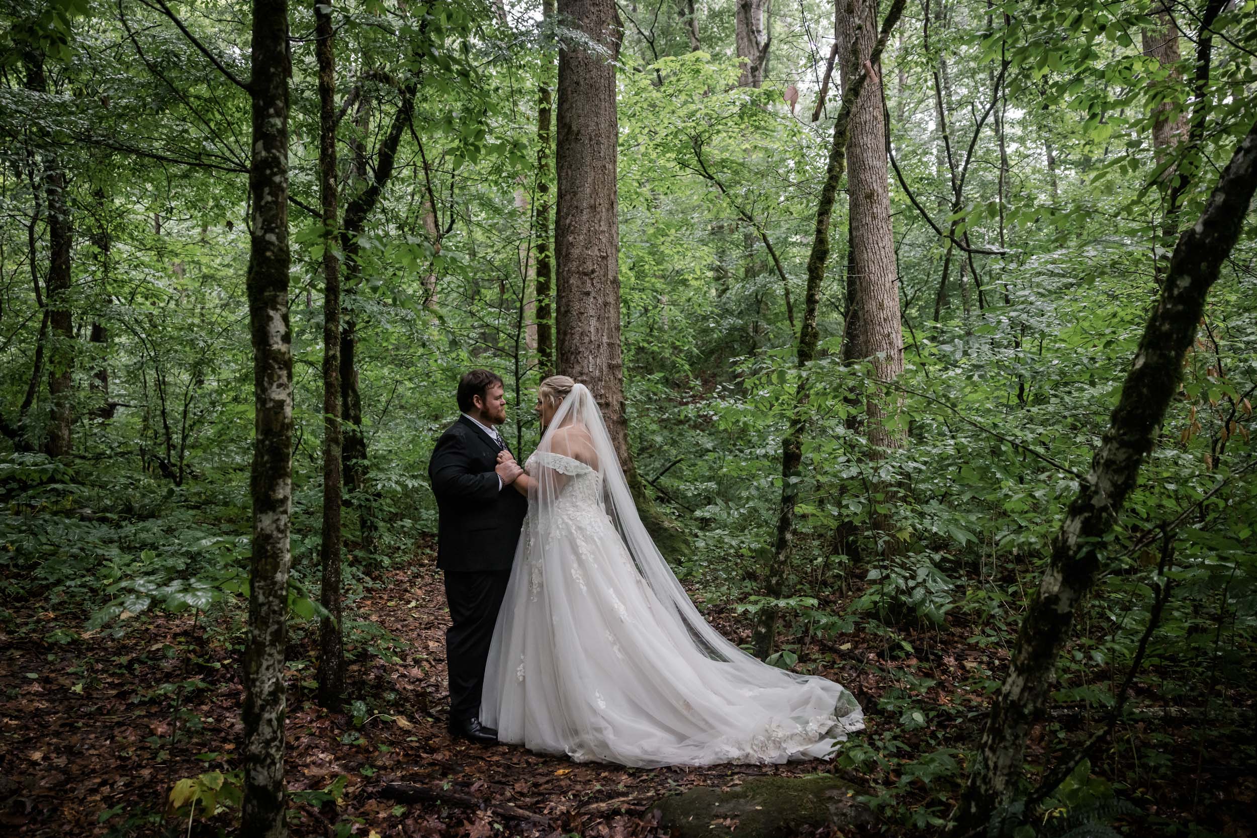 Forest Elopement Photographer 