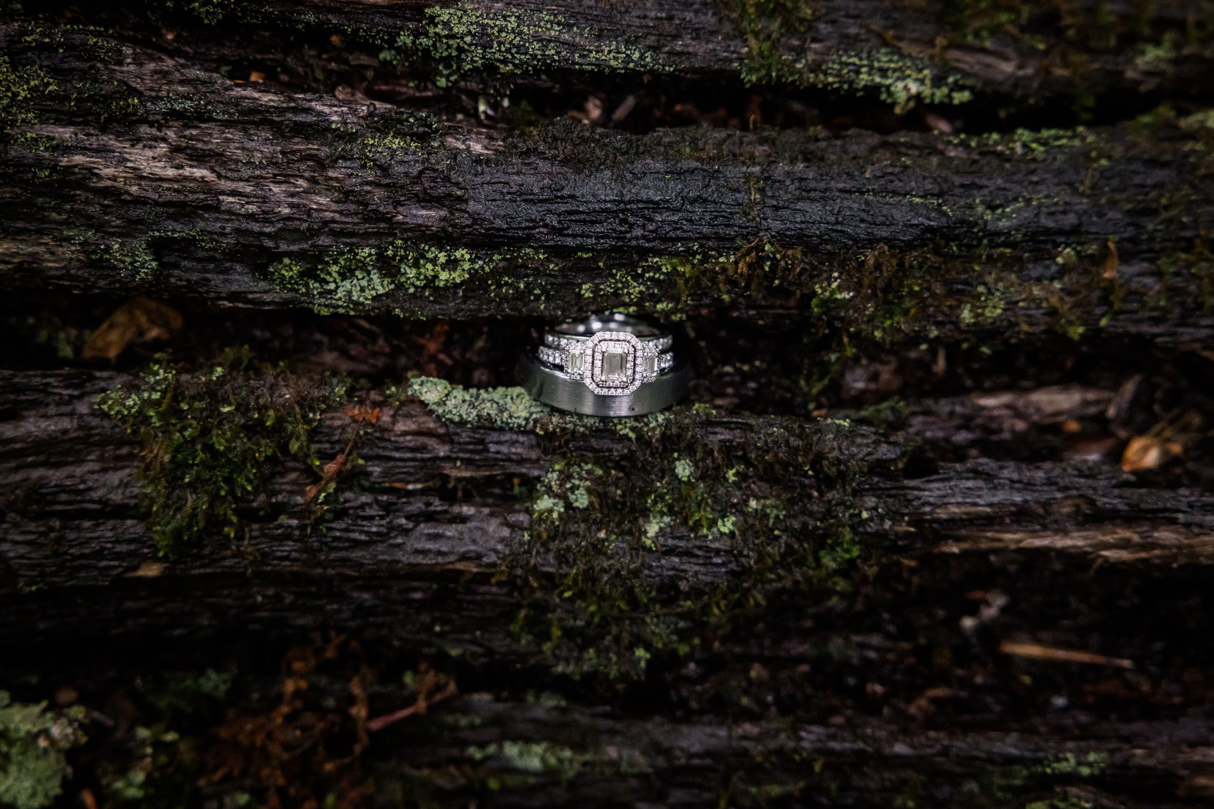 Wedding Rings 